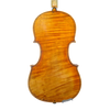 Violin - Edgar Russ, Guarneri del Gesú "Ole Bull",  Cremona 2024
