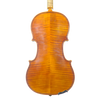 Violin - Linea Macchi, Stradivari Cremona 2024 A