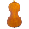 Violin - Scala Perfetta, Guarneri, Cremona 2024 A