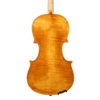 Violin - Stefano Guerreschi, mod. Carlo Antonio Testore, Cremona 2025
