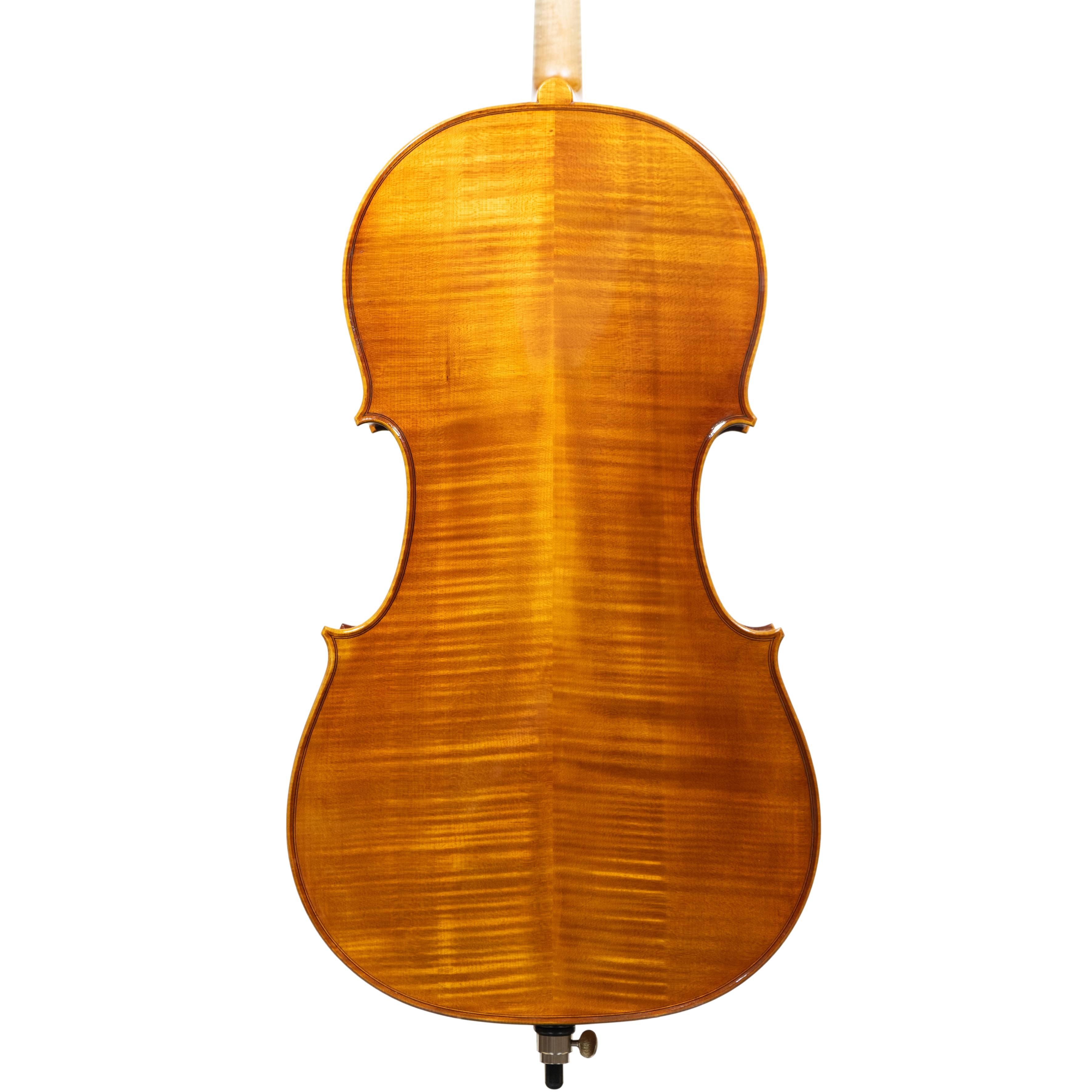 Cello - Scala Perfetta, Stradivari, Cremona 2025 "CEVEDALE"