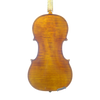 Violin - Enrico Bertoncini, Guarneri, Cremona 2024