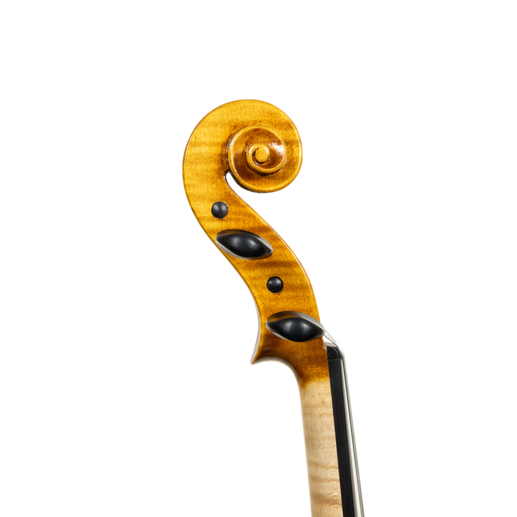 Violin - Scala Perfetta, Stradivari, Cremona 2025 "CERVINO"