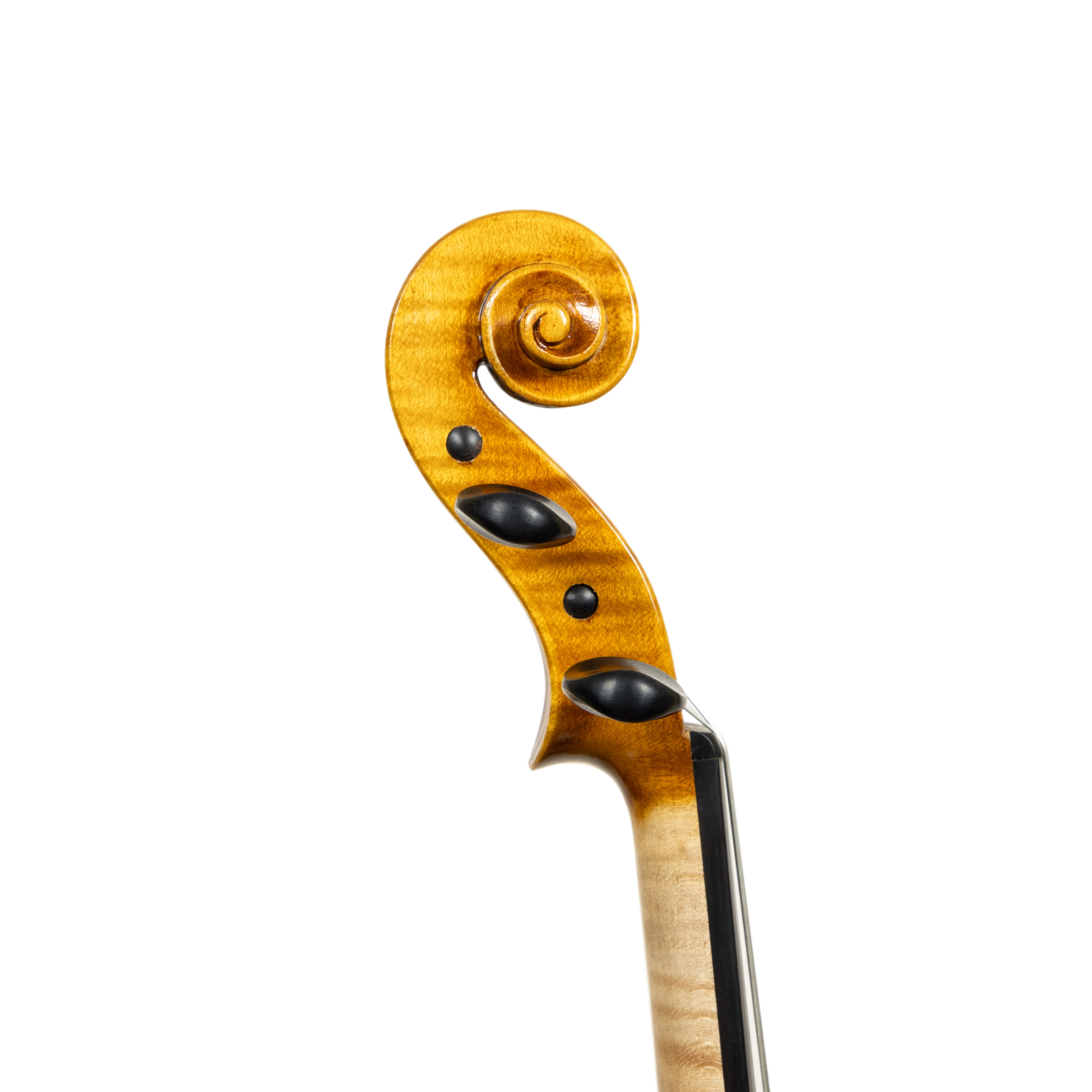 Violin - Scala Perfetta, Stradivari, Cremona 2025 "CERVINO"