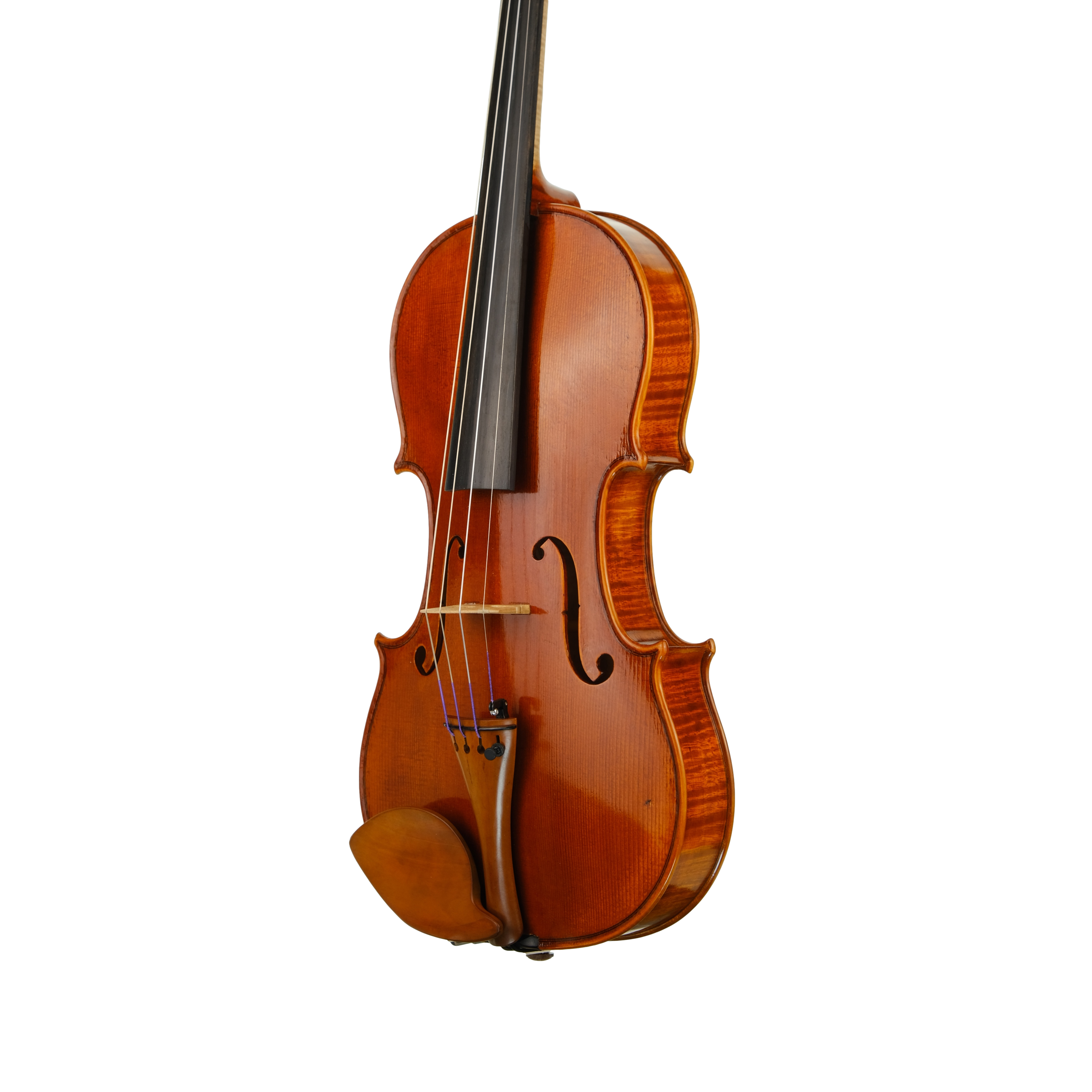 Violin - Linea Macchi, Stradivari 2022 3