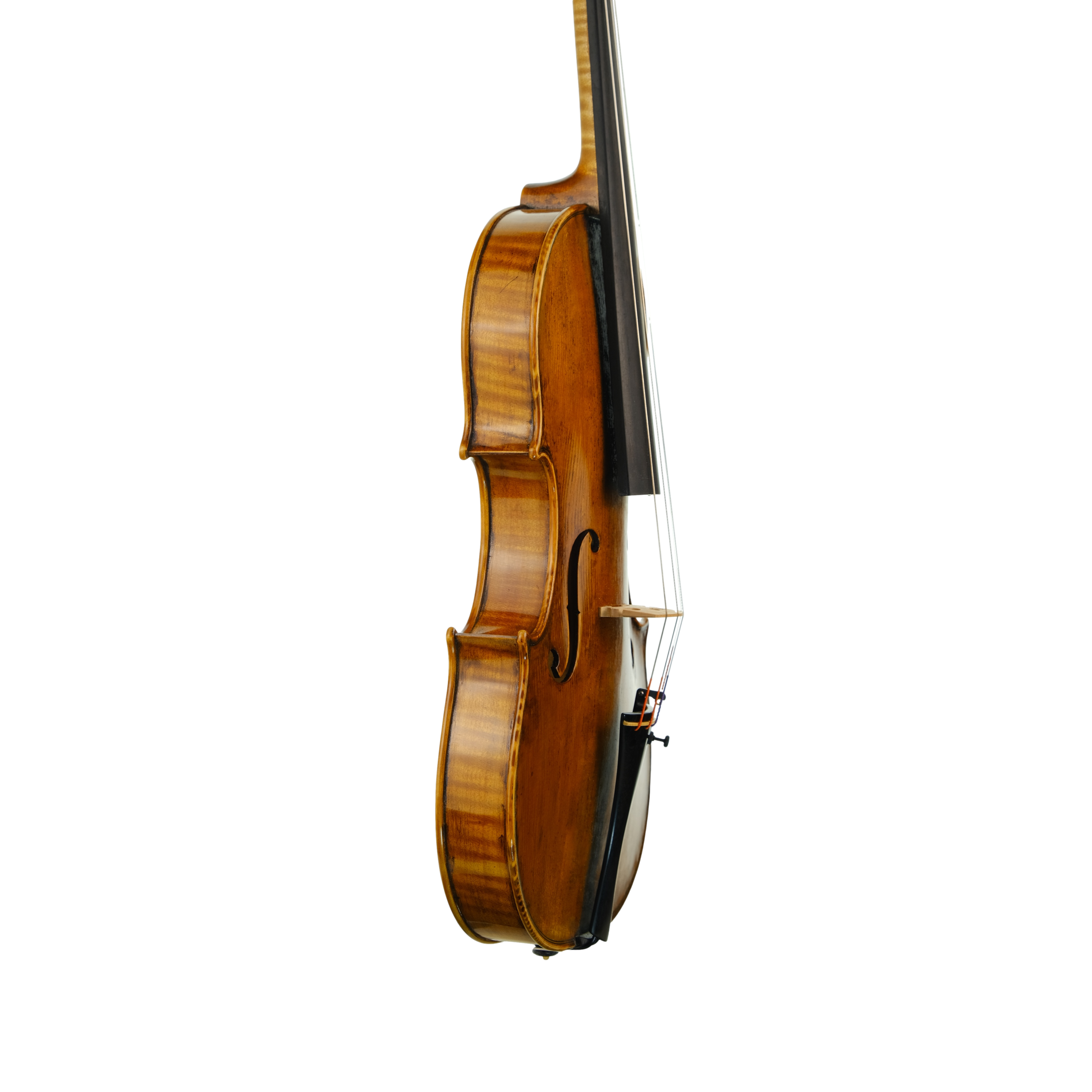 Violin - Michele Mattone, Cremona 2022