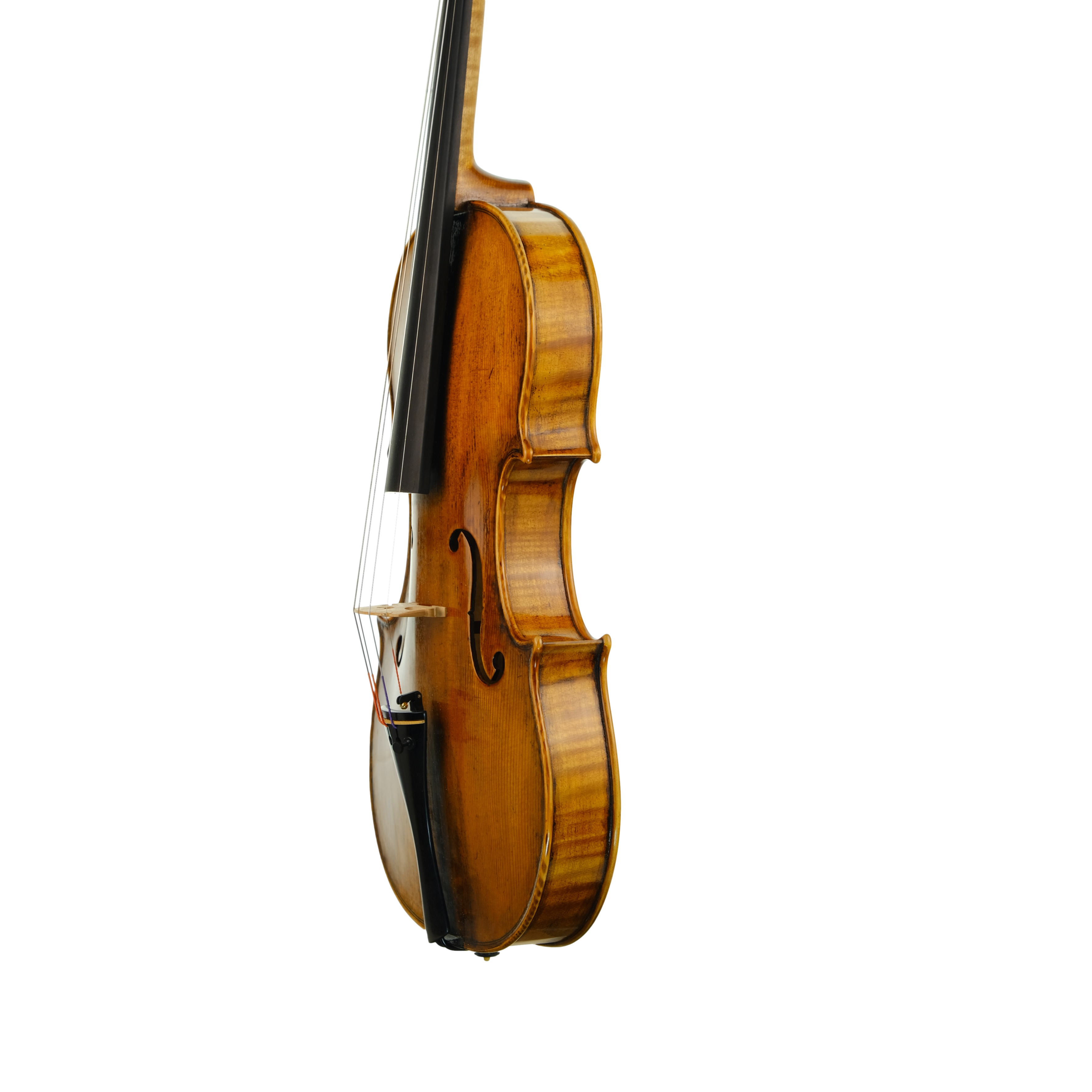 Violin - Michele Mattone, Cremona 2022