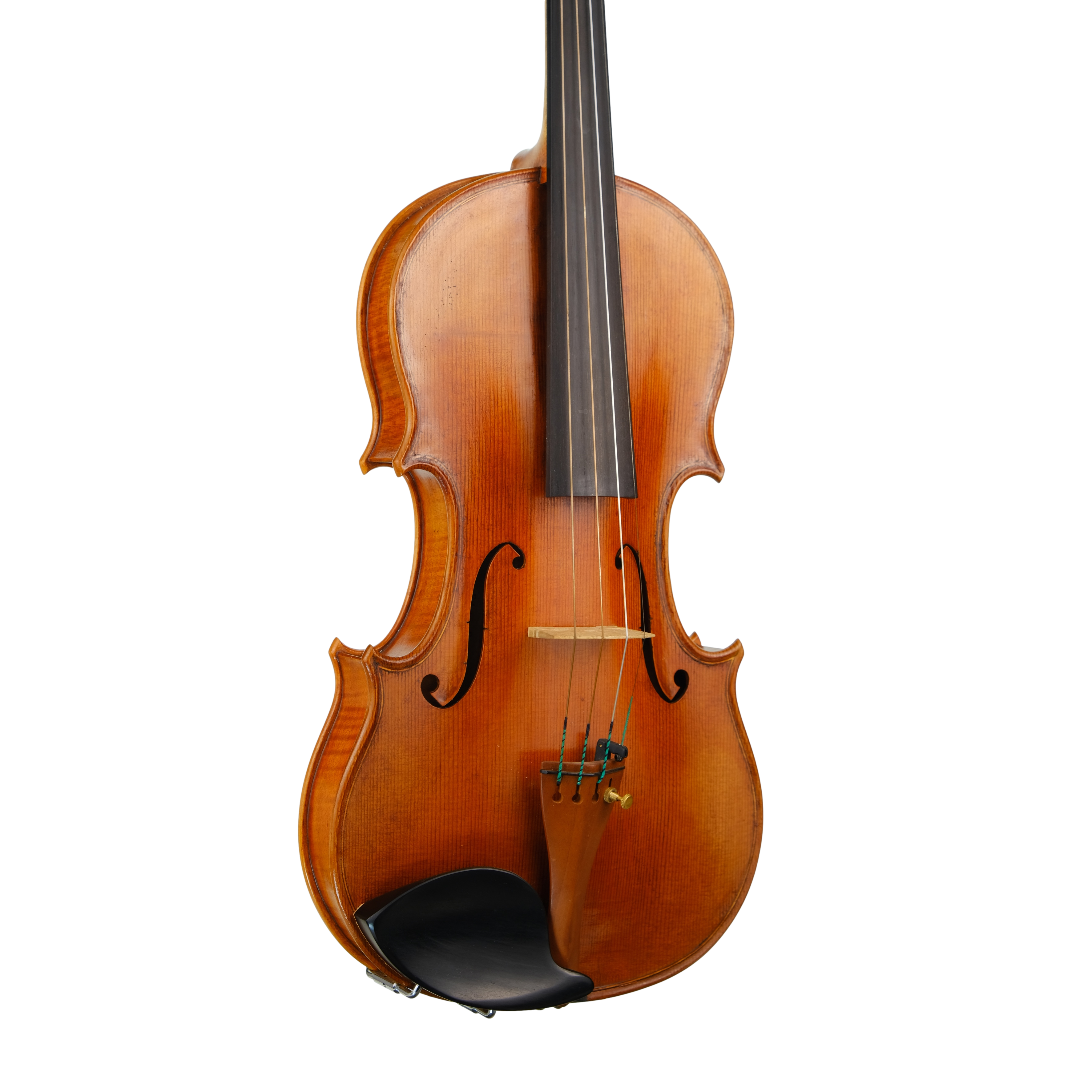 Violin - Fabrizio Fornara, Cremona 2016, 2