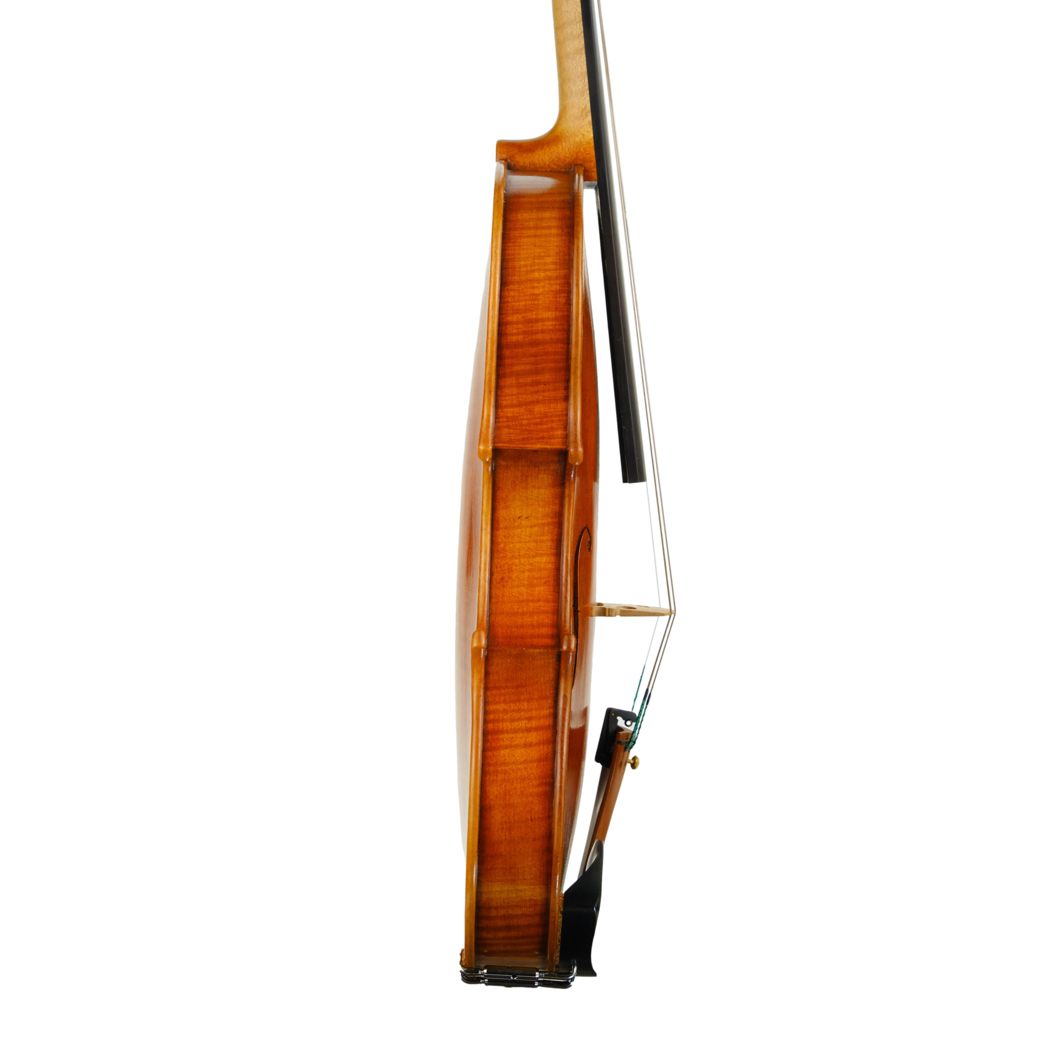 Violin - Fabrizio Fornara, Cremona 2016, 2