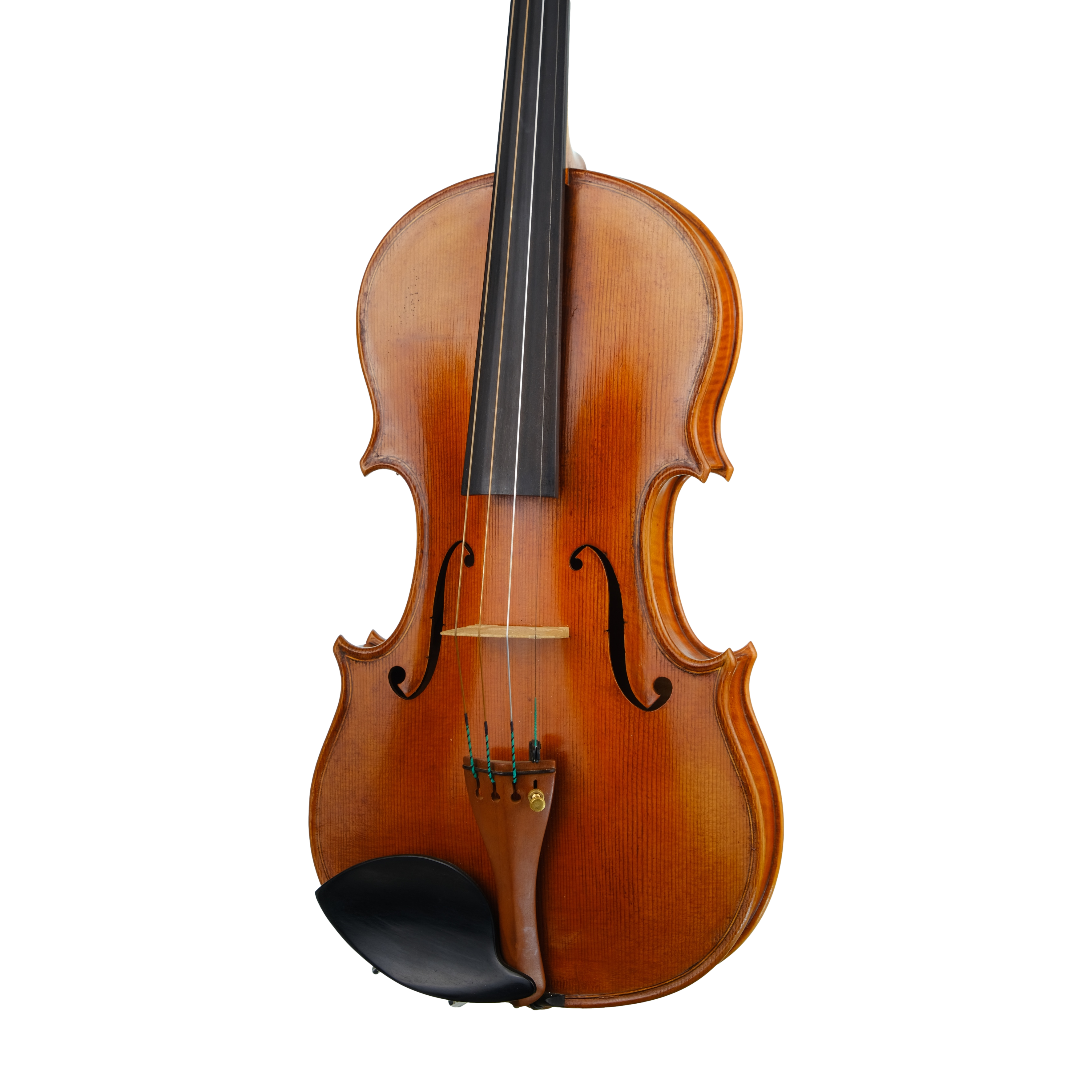 Violin - Fabrizio Fornara, Cremona 2016, 2