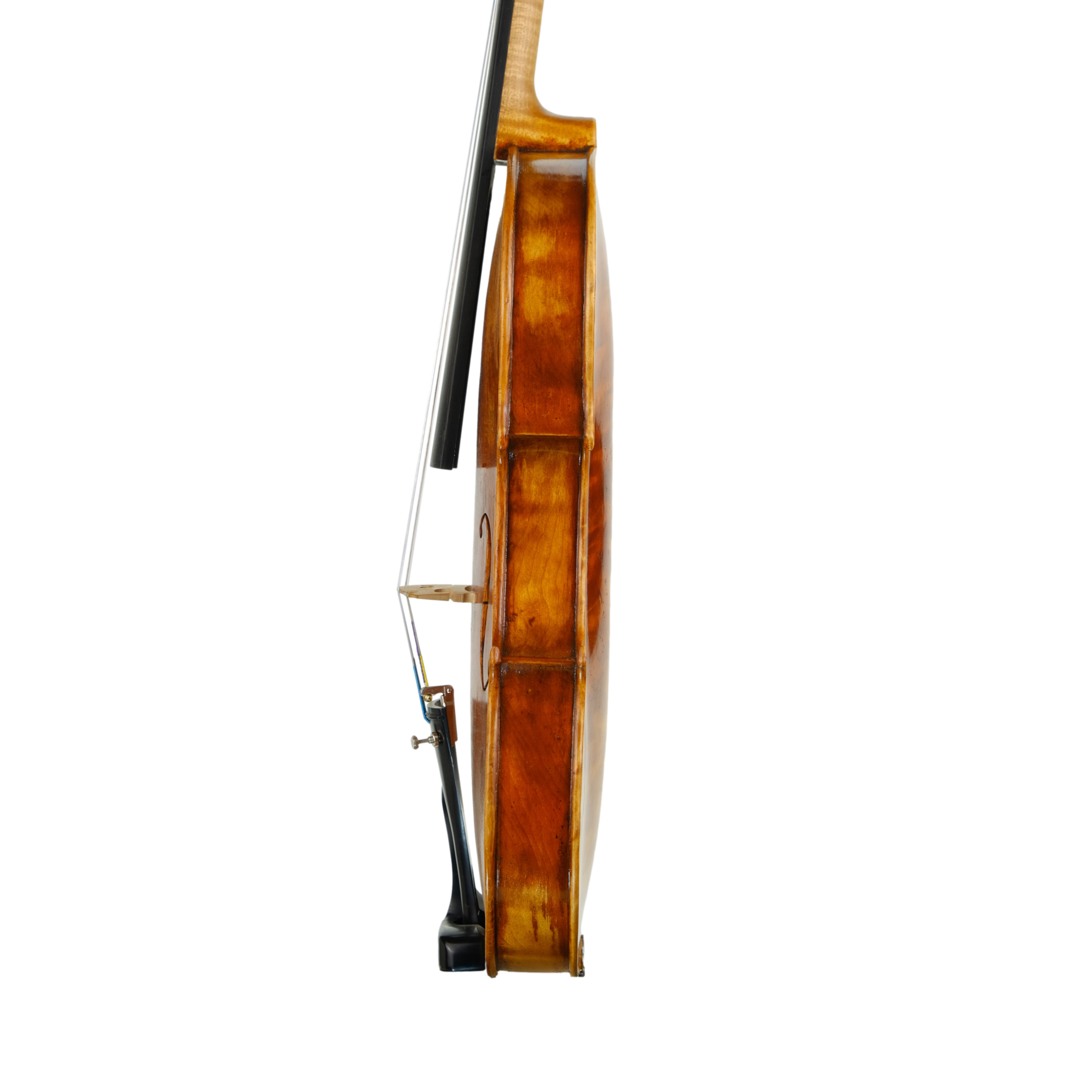 Violin - Fabrizio Fornara, Cremona 2016, 1
