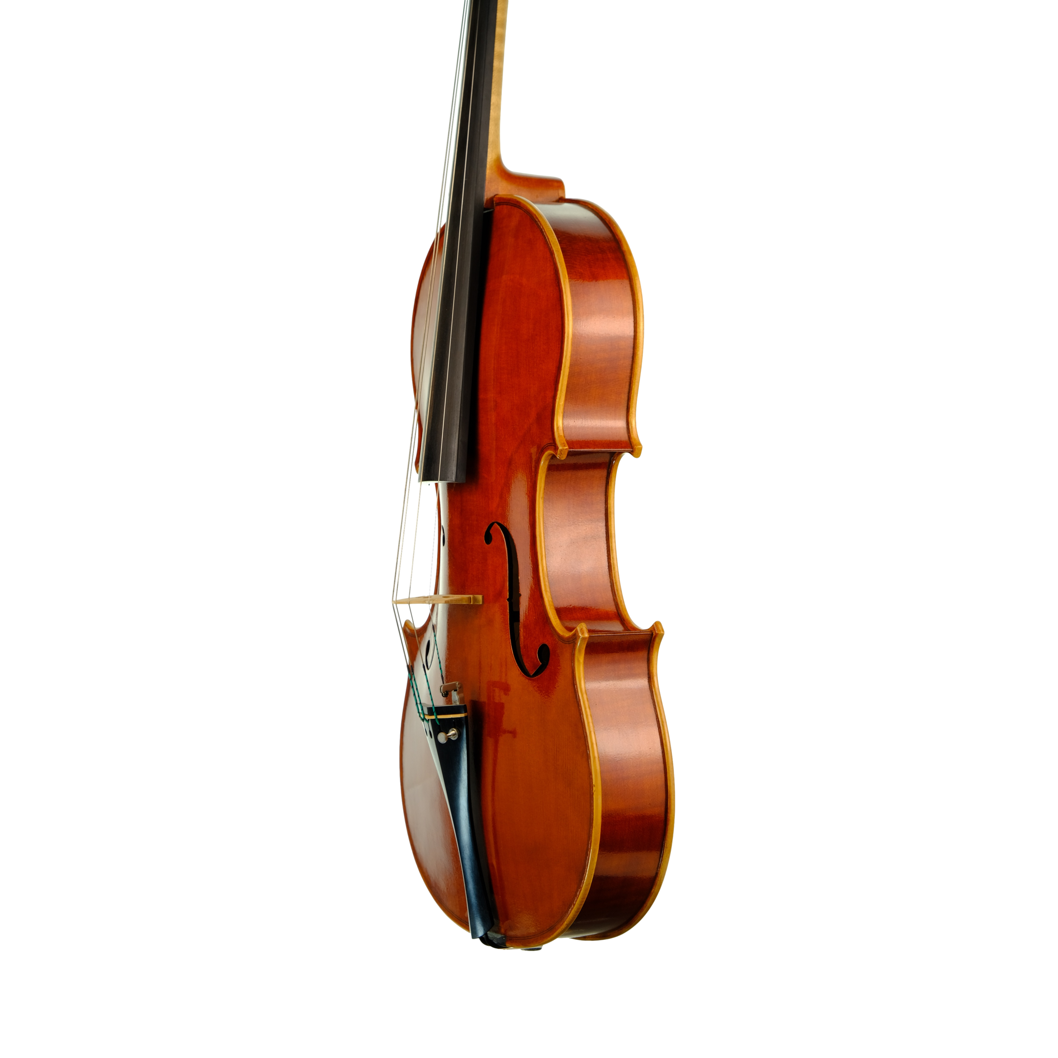 Viola 41cm - Marco Dotti, Ornati Cremona 2019