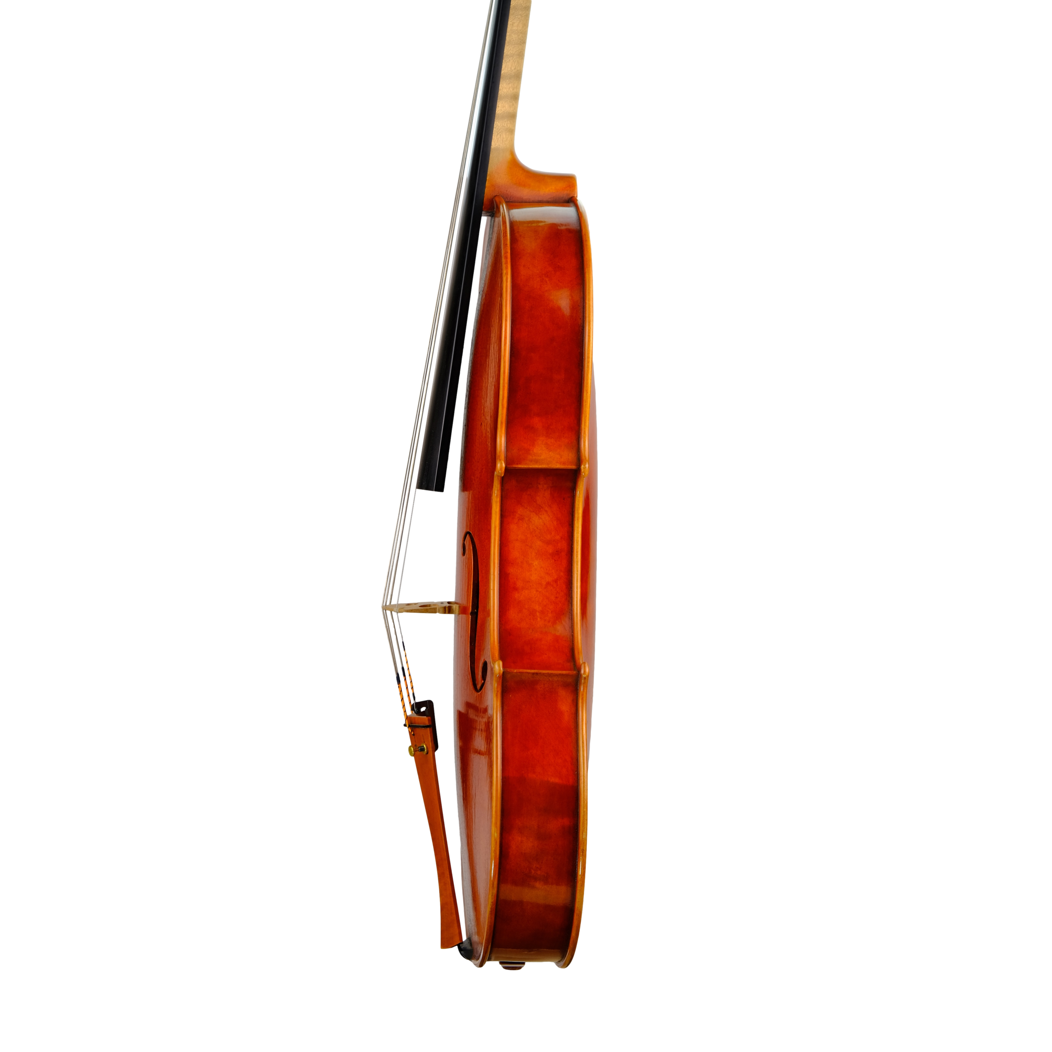Viola 40,5cm - Mina Mazzolari, Cremona 2014