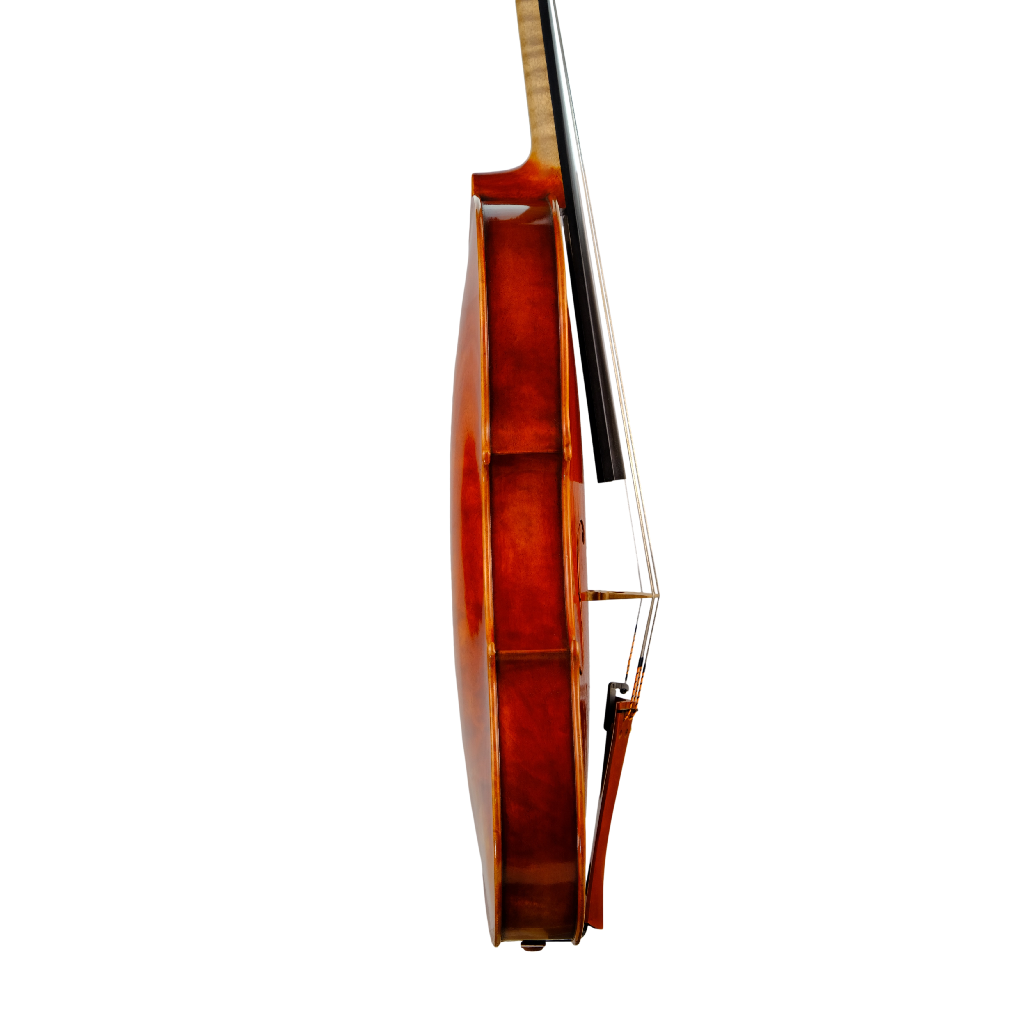 Viola 40,5cm - Mina Mazzolari, Cremona 2014