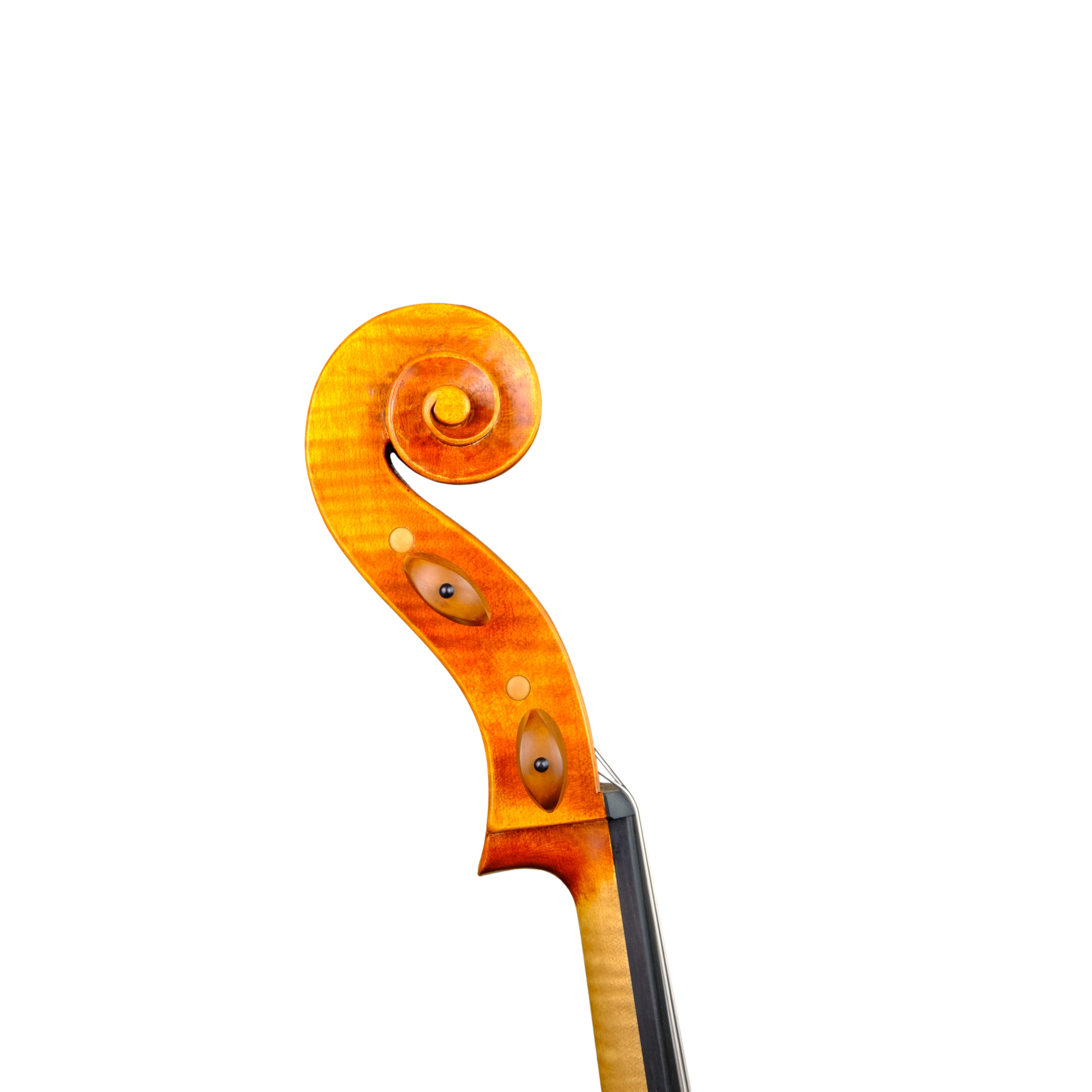Cello - Linea Macchi, Domenico Montagnana "Sleeping Beauty", Cremona 2022