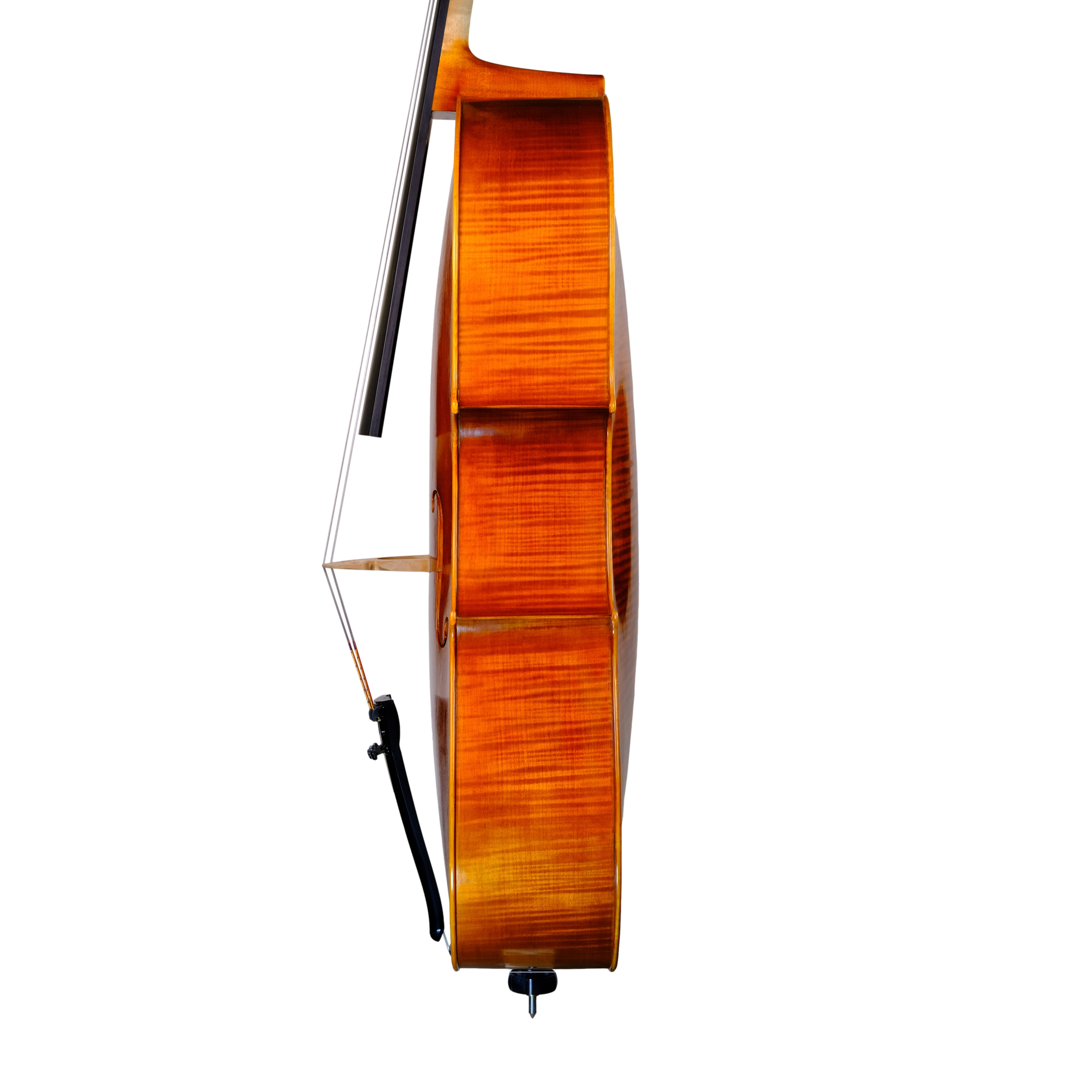 Cello - Linea Macchi, Domenico Montagnana "Sleeping Beauty", Cremona 2022