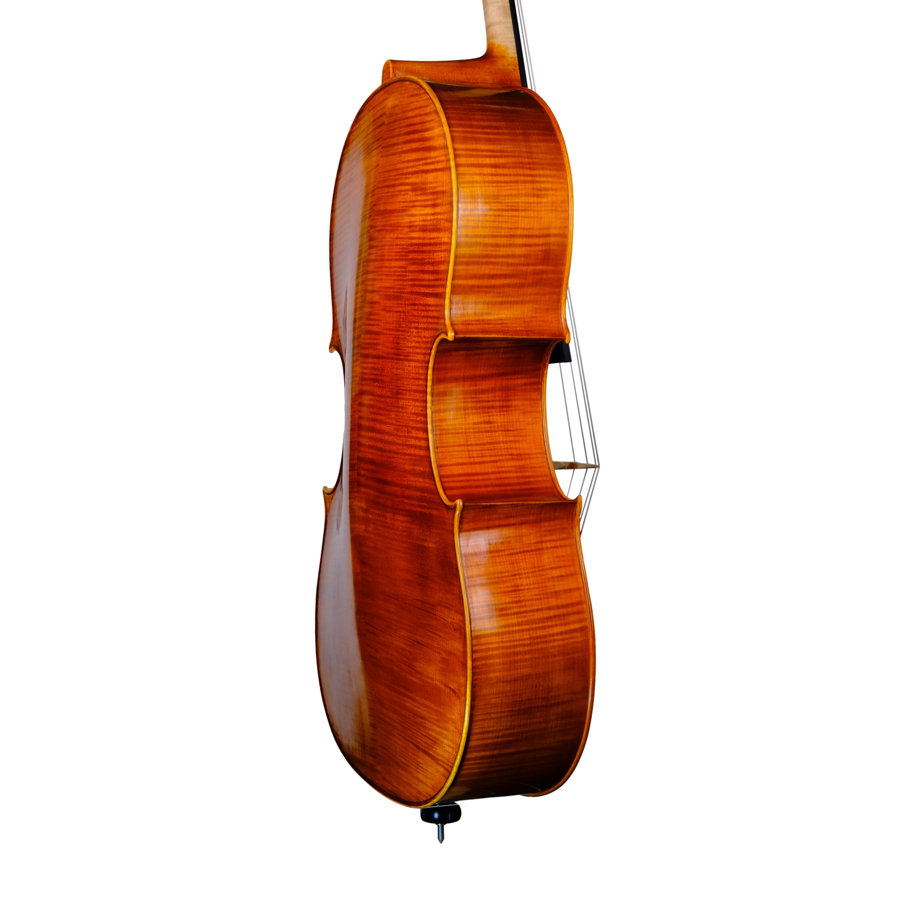 Cello - Linea Macchi, Domenico Montagnana "Sleeping Beauty", Cremona 2022