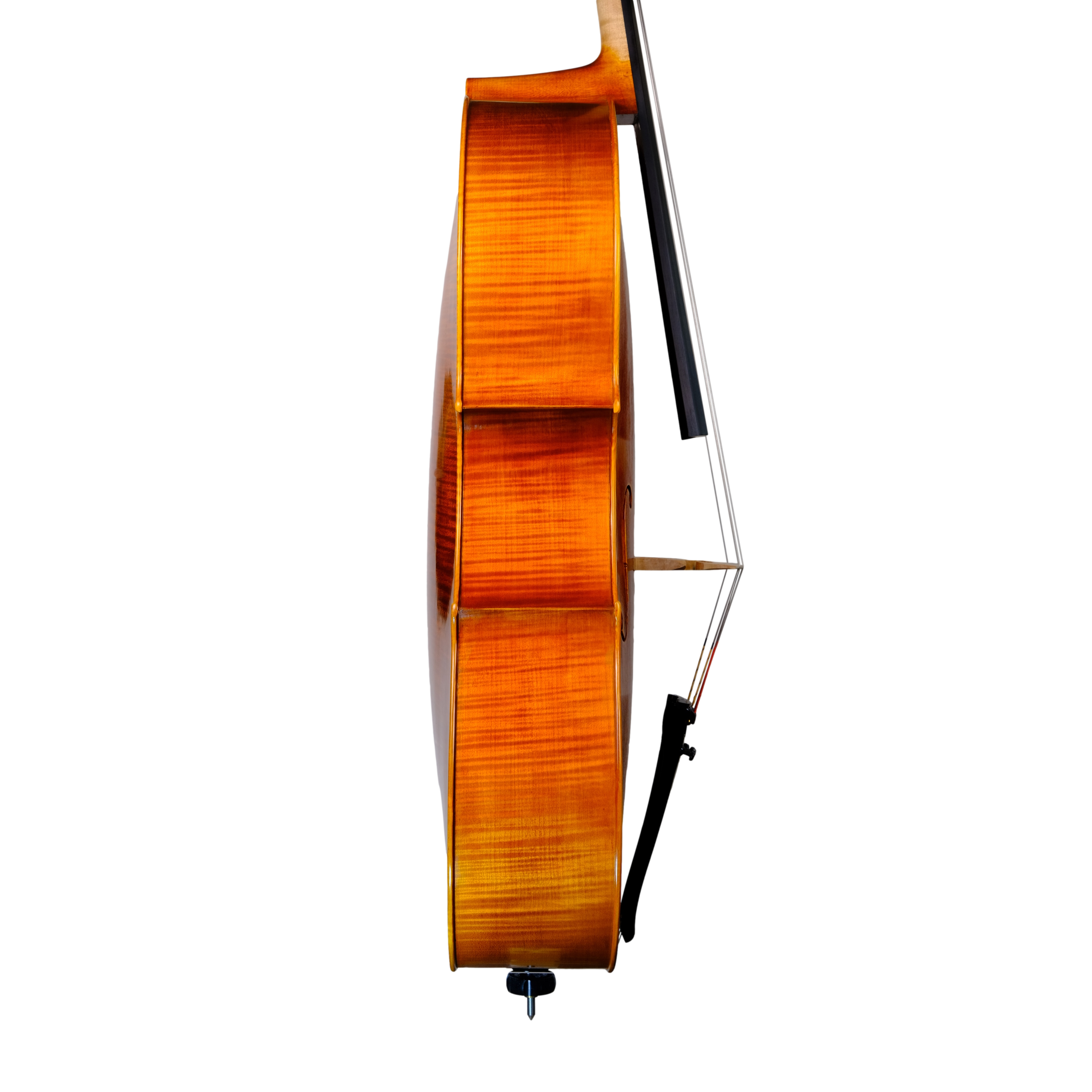 Cello - Linea Macchi, Domenico Montagnana "Sleeping Beauty", Cremona 2022