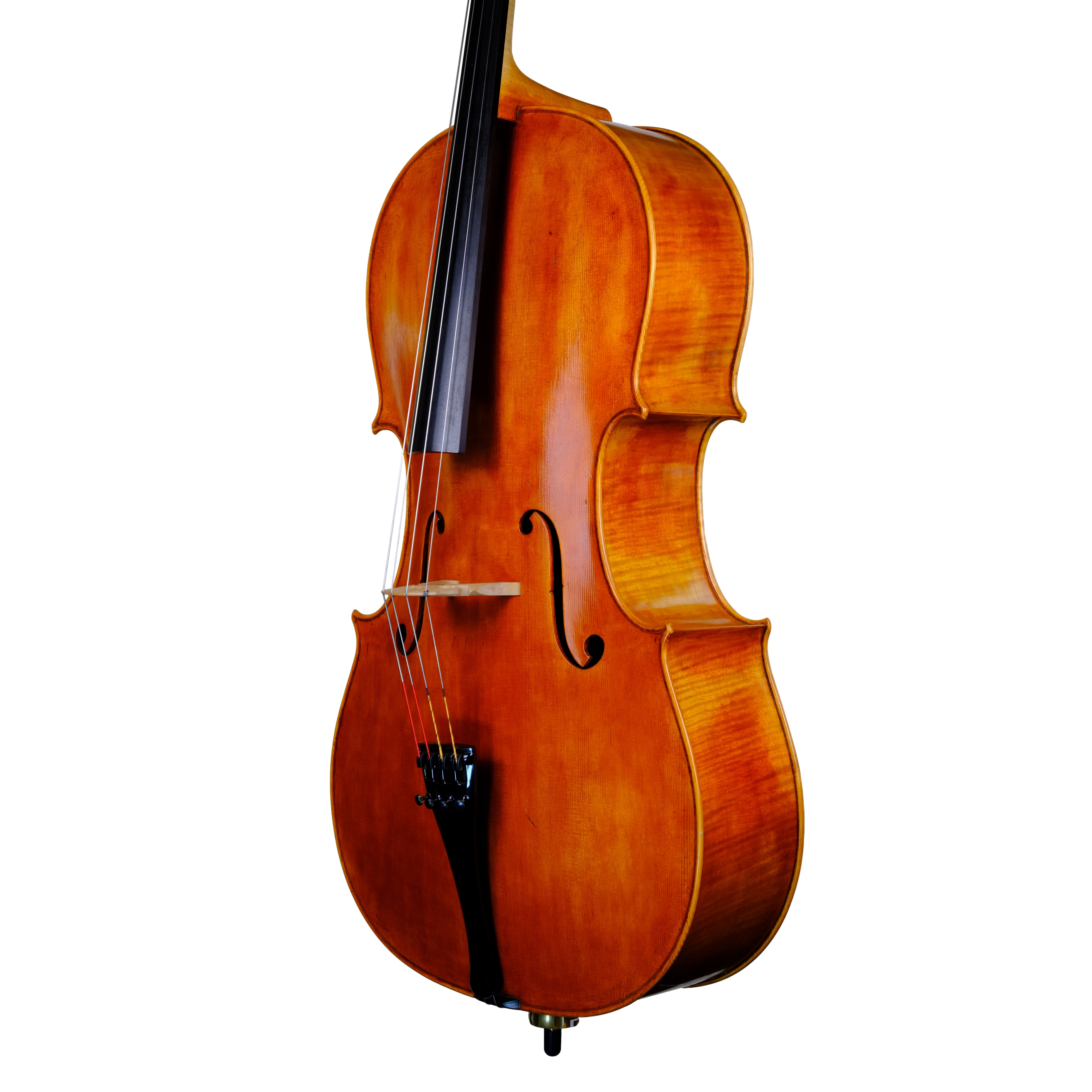 Cello - Marco Dotti, Copy of Antonio Stradivari 1710 "Gore Booth", Cremona 2021