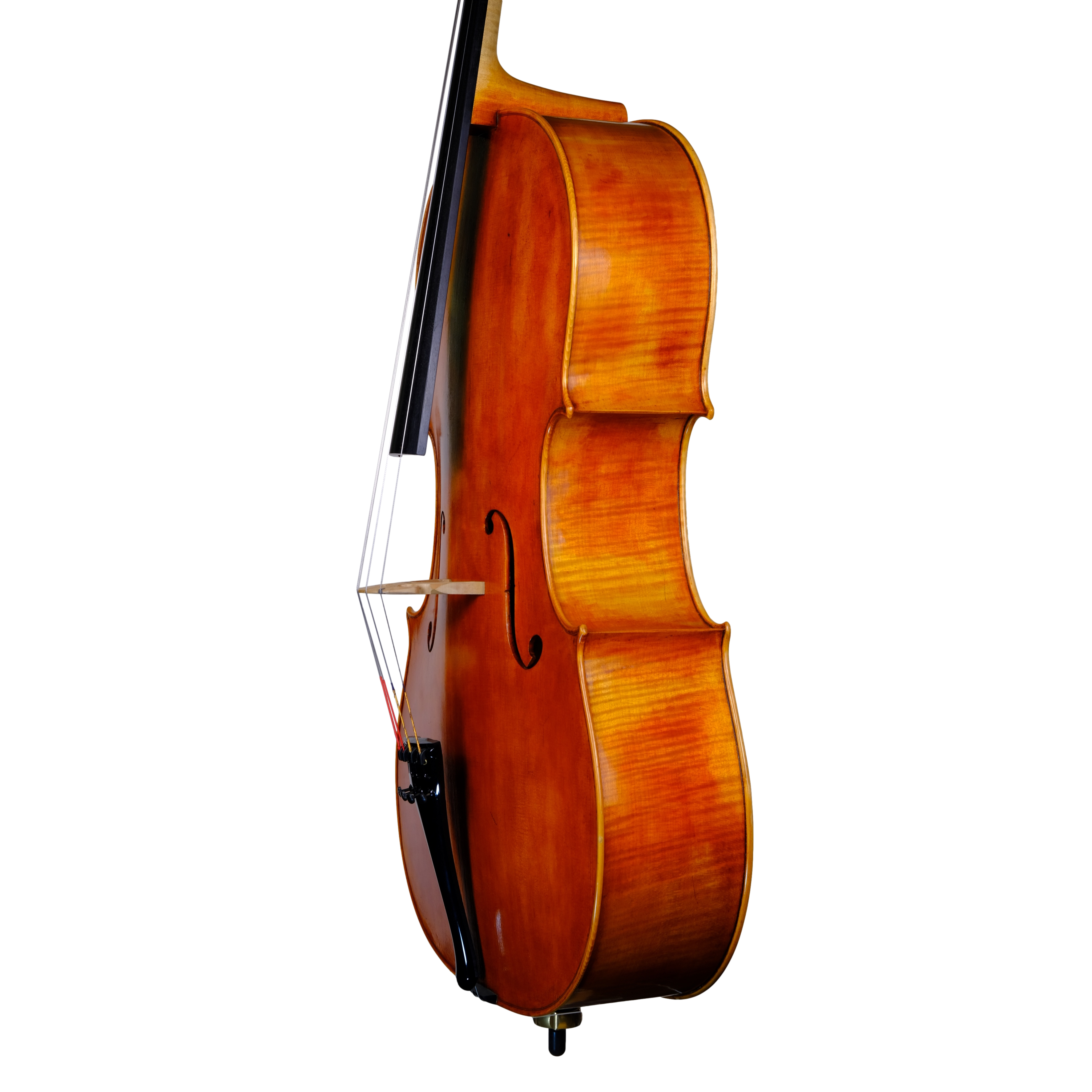 Cello - Marco Dotti, Copy of Antonio Stradivari 1710 "Gore Booth", Cremona 2021