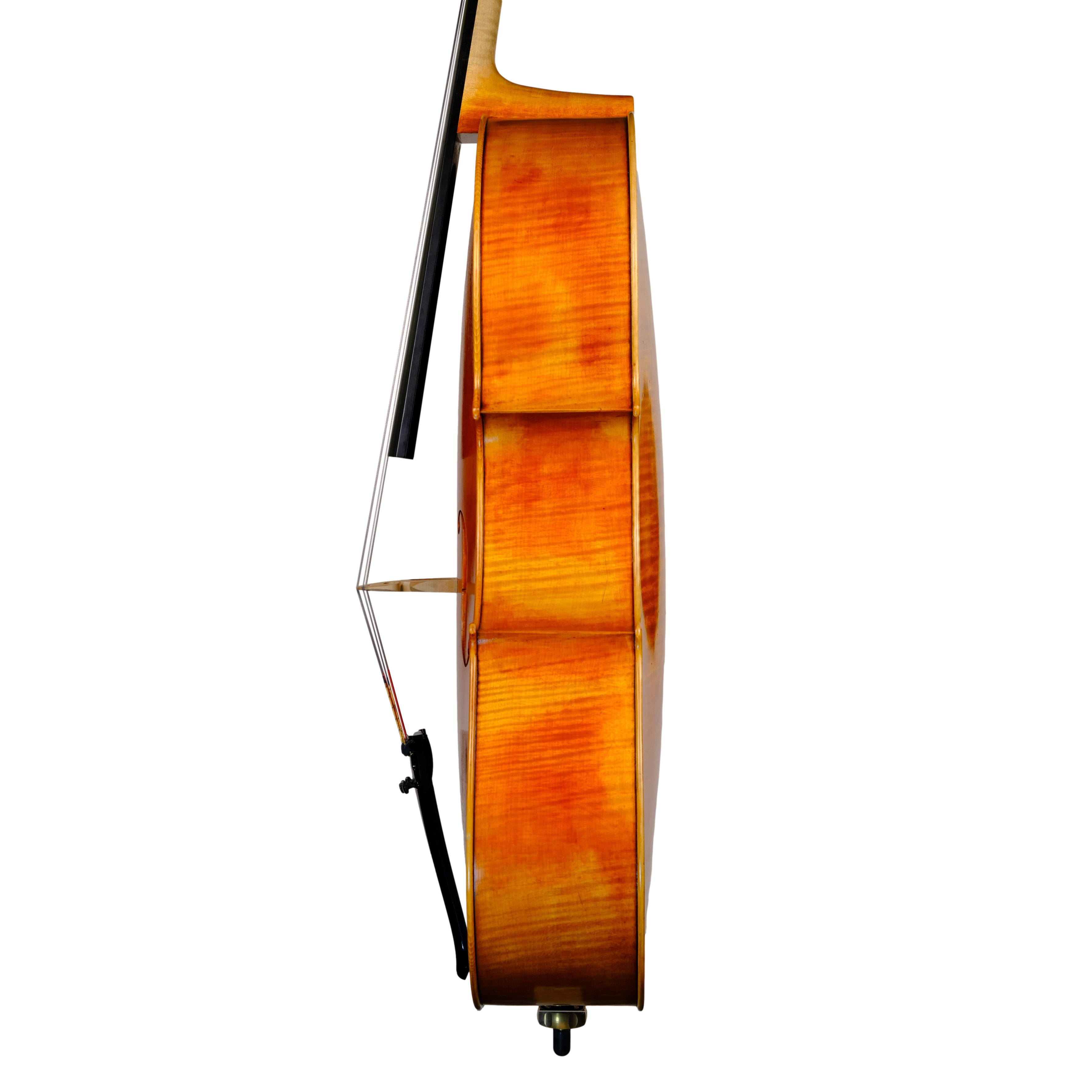 Cello - Marco Dotti, Copy of Antonio Stradivari 1710 "Gore Booth", Cremona 2021