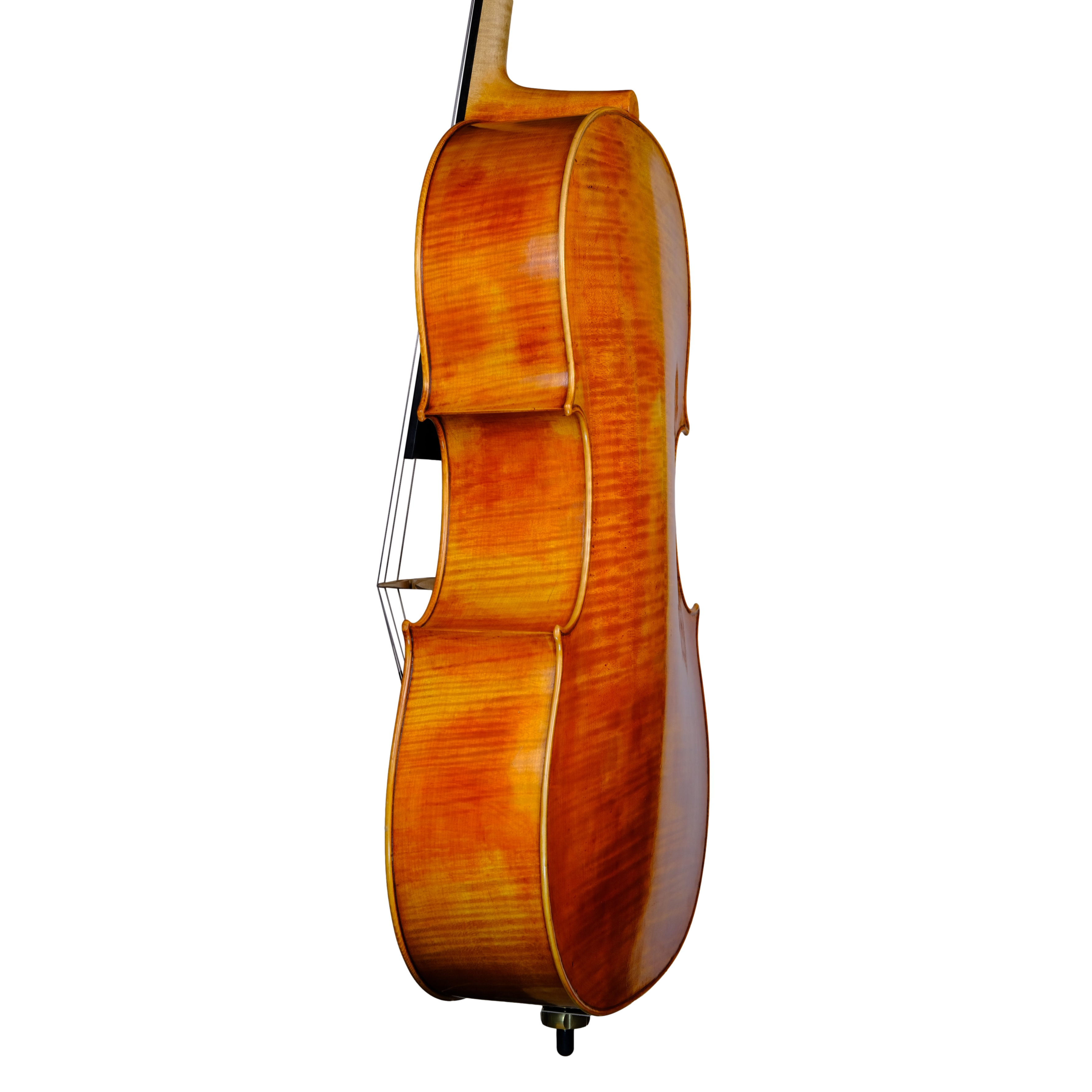 Cello - Marco Dotti, Copy of Antonio Stradivari 1710 "Gore Booth", Cremona 2021