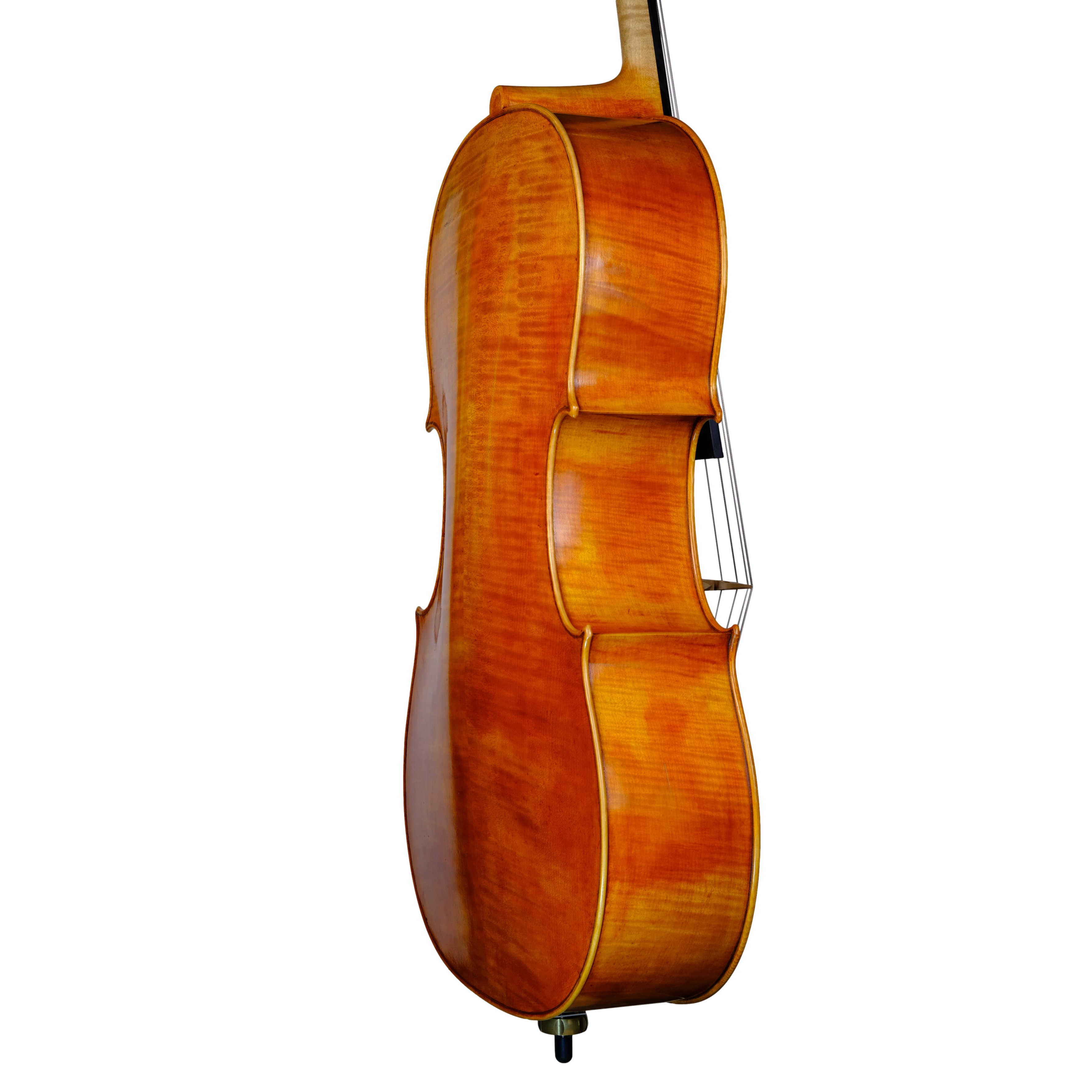 Cello - Marco Dotti, Copy of Antonio Stradivari 1710 "Gore Booth", Cremona 2021