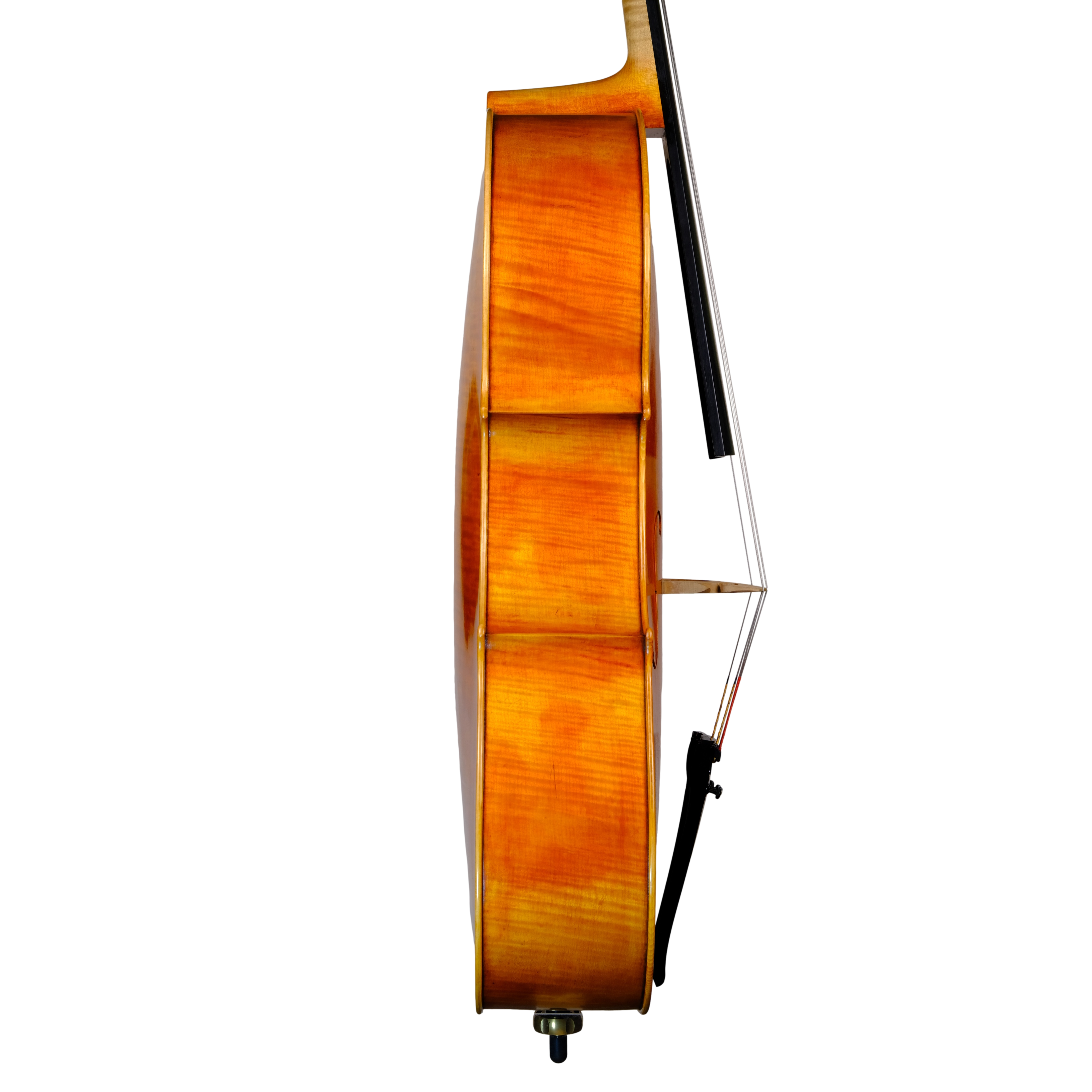 Cello - Marco Dotti, Copy of Antonio Stradivari 1710 "Gore Booth", Cremona 2021