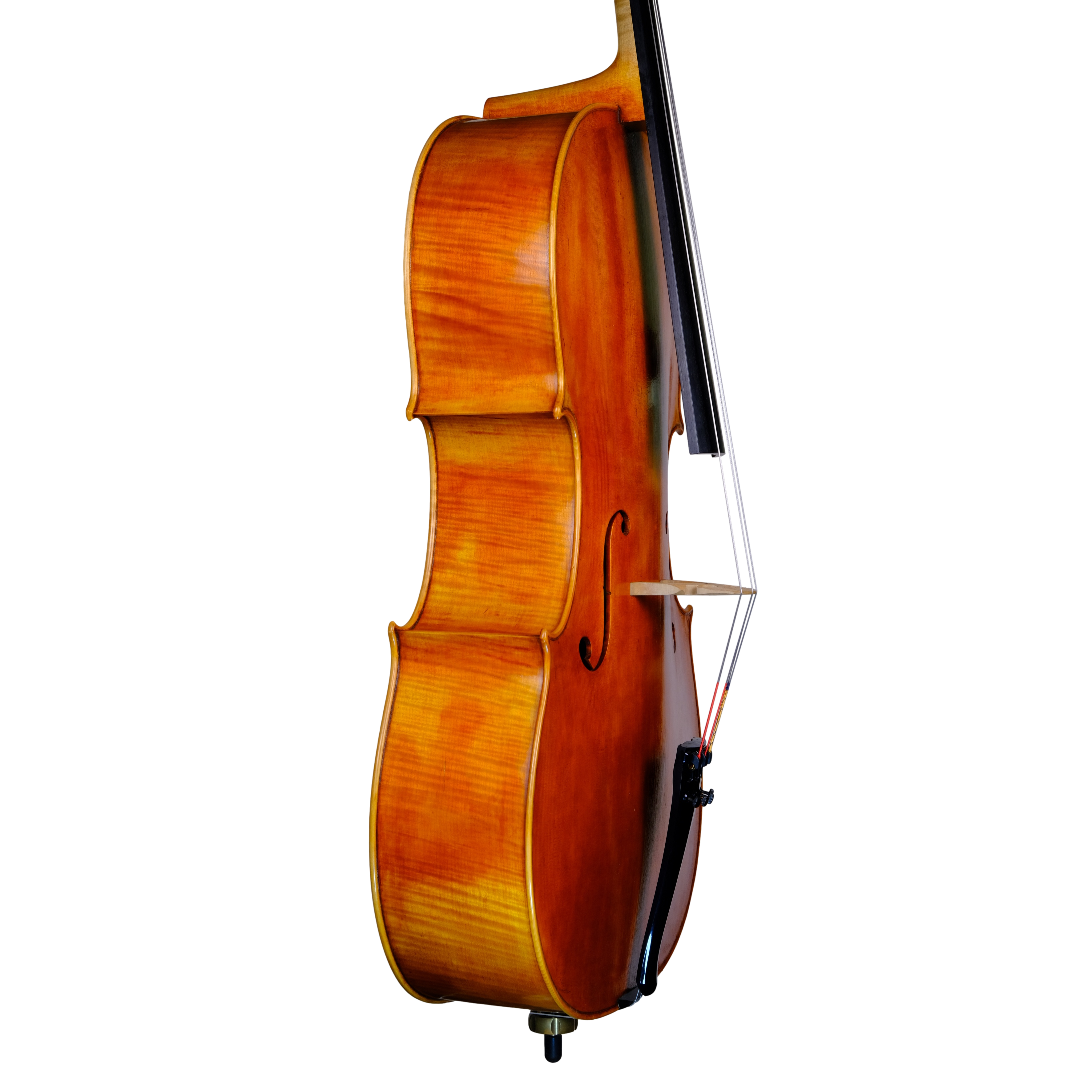 Cello - Marco Dotti, Copy of Antonio Stradivari 1710 "Gore Booth", Cremona 2021