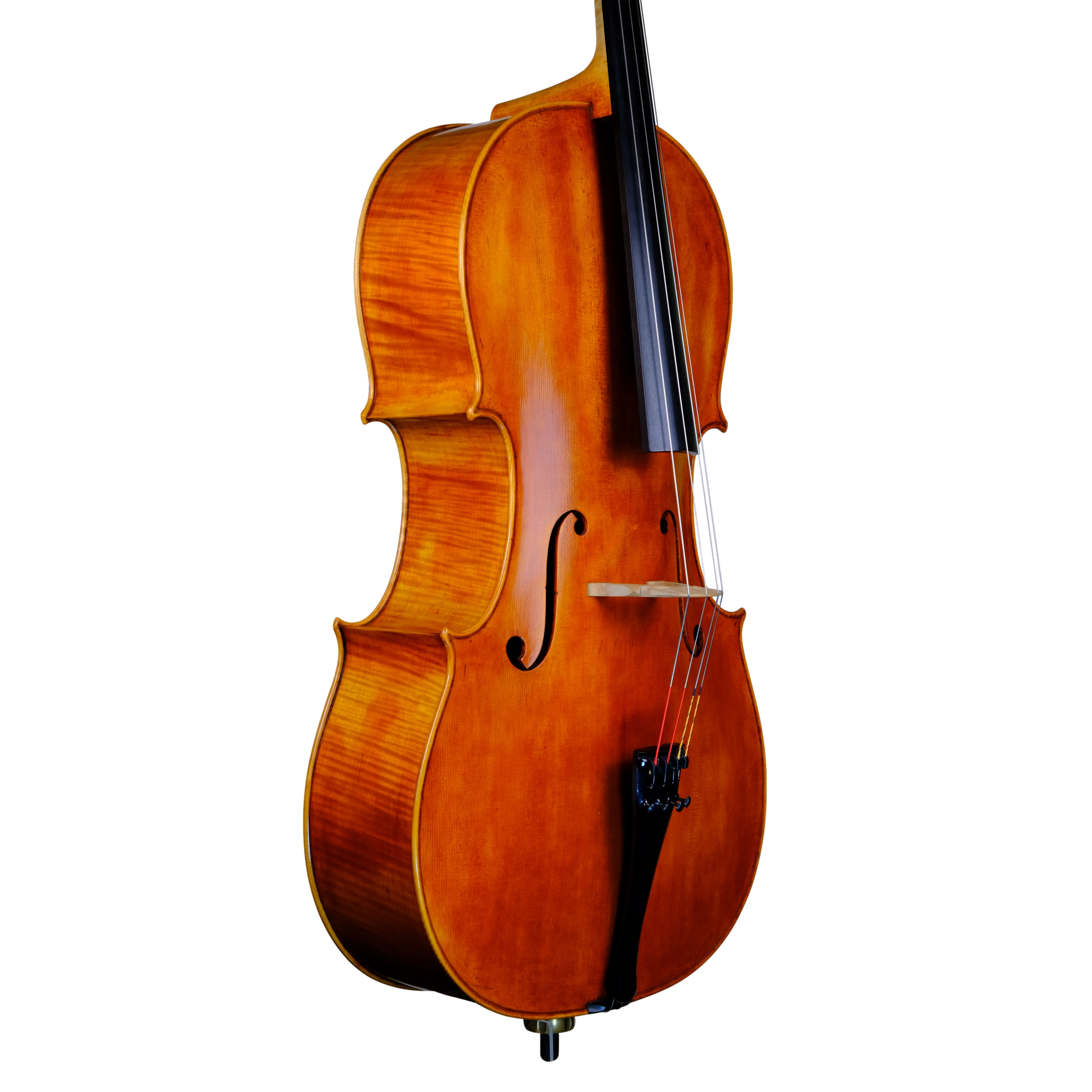 Cello - Marco Dotti, Copy of Antonio Stradivari 1710 "Gore Booth", Cremona 2021