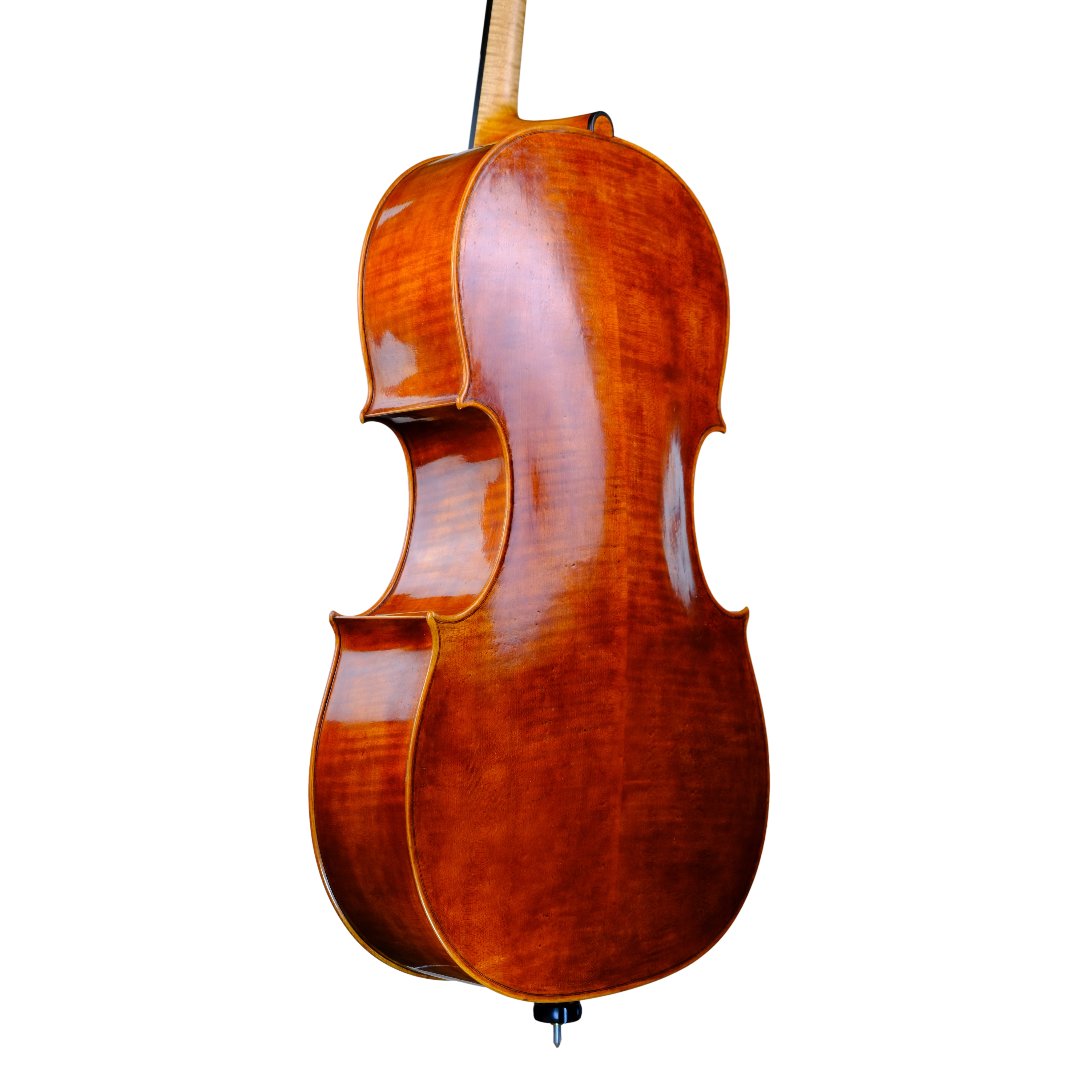 Cello - Mina Mazzolari, Matteo Goffriller, Cremona 2023