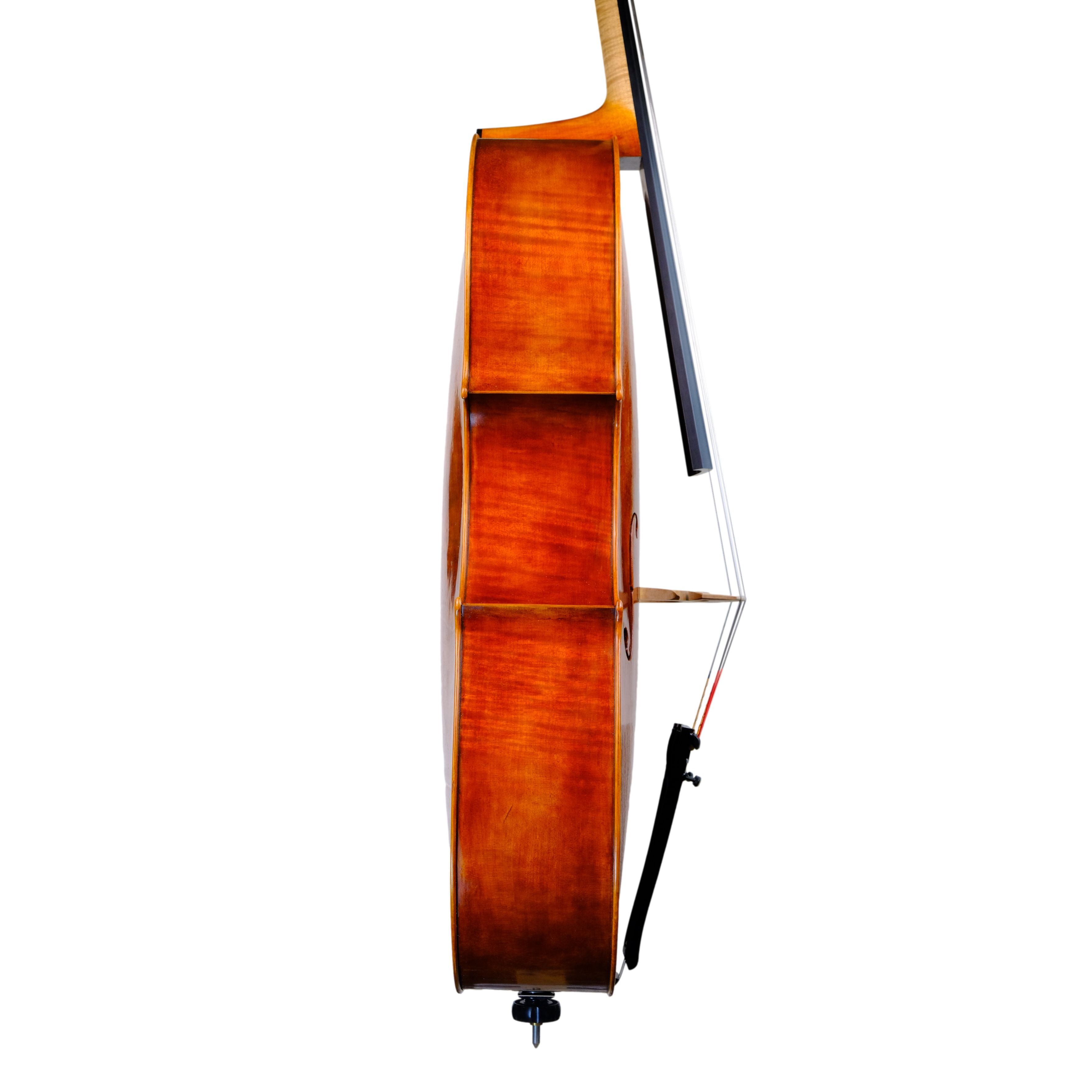 Cello - Mina Mazzolari, Matteo Goffriller, Cremona 2023