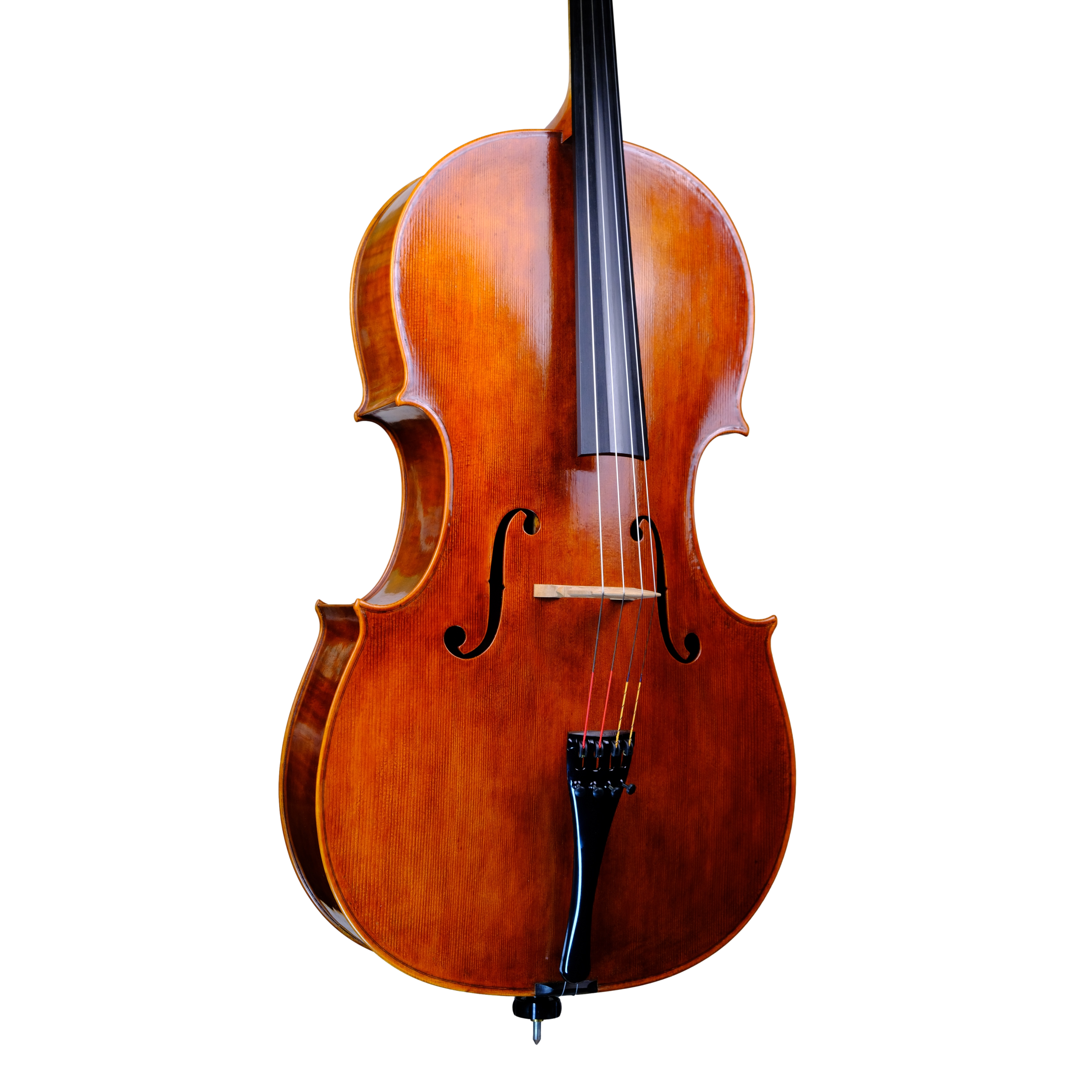 Cello - Mina Mazzolari, Matteo Goffriller, Cremona 2023