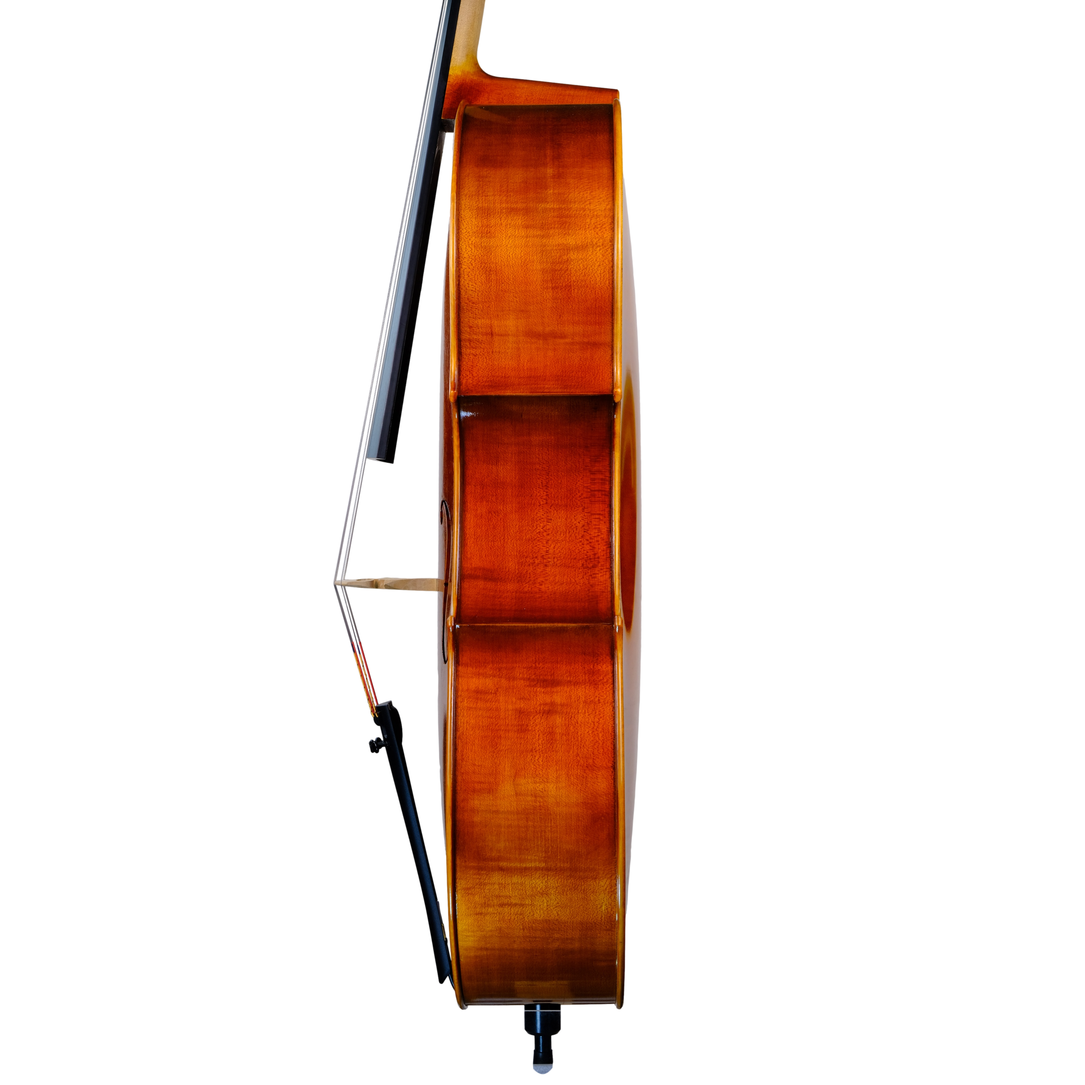 Cello - Scala Perfetta 7/8, Stradivari, Cremona 2023