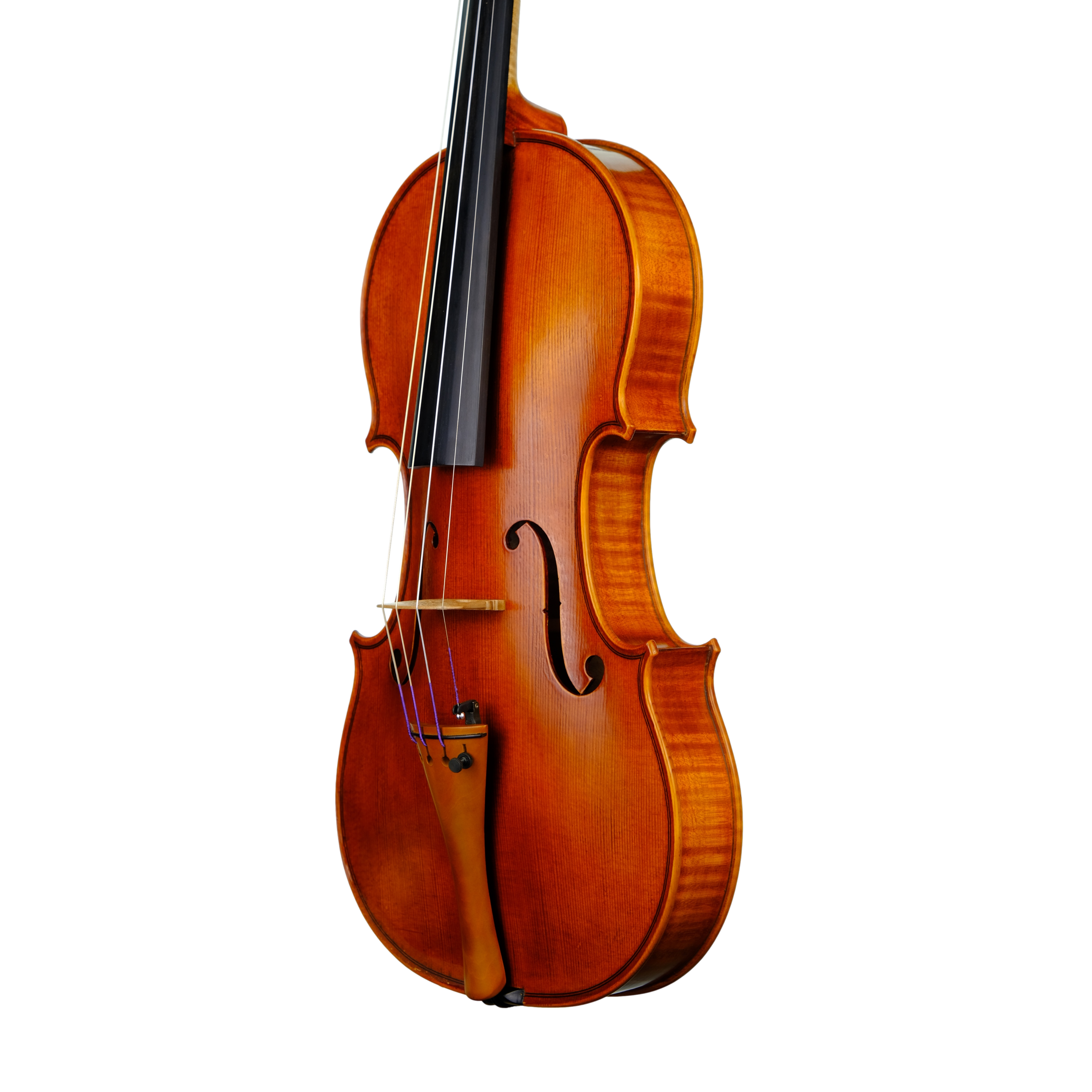 Violin - Enrico Bertoncini, Cremona 2023