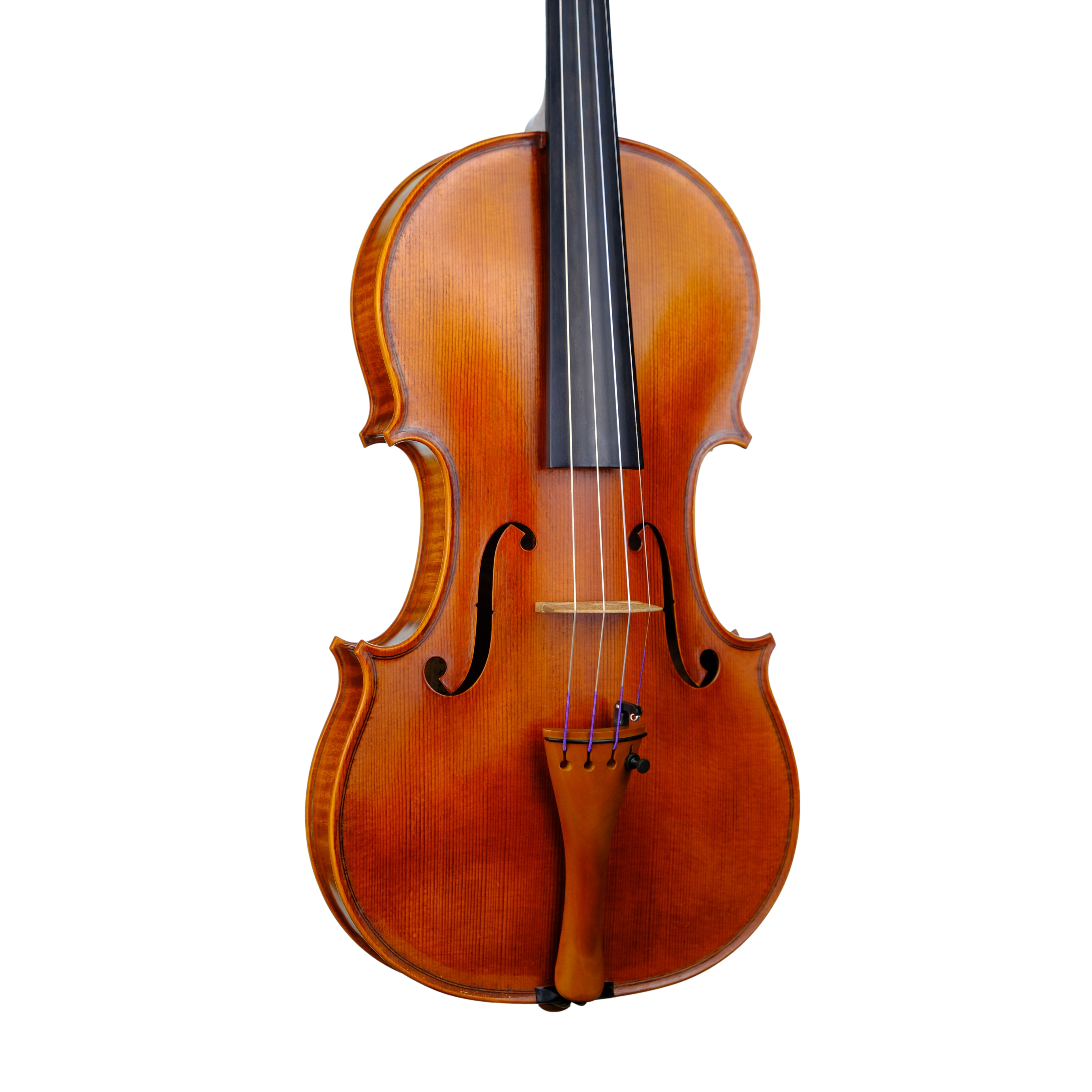 Violin - Enrico Bertoncini, Cremona 2023