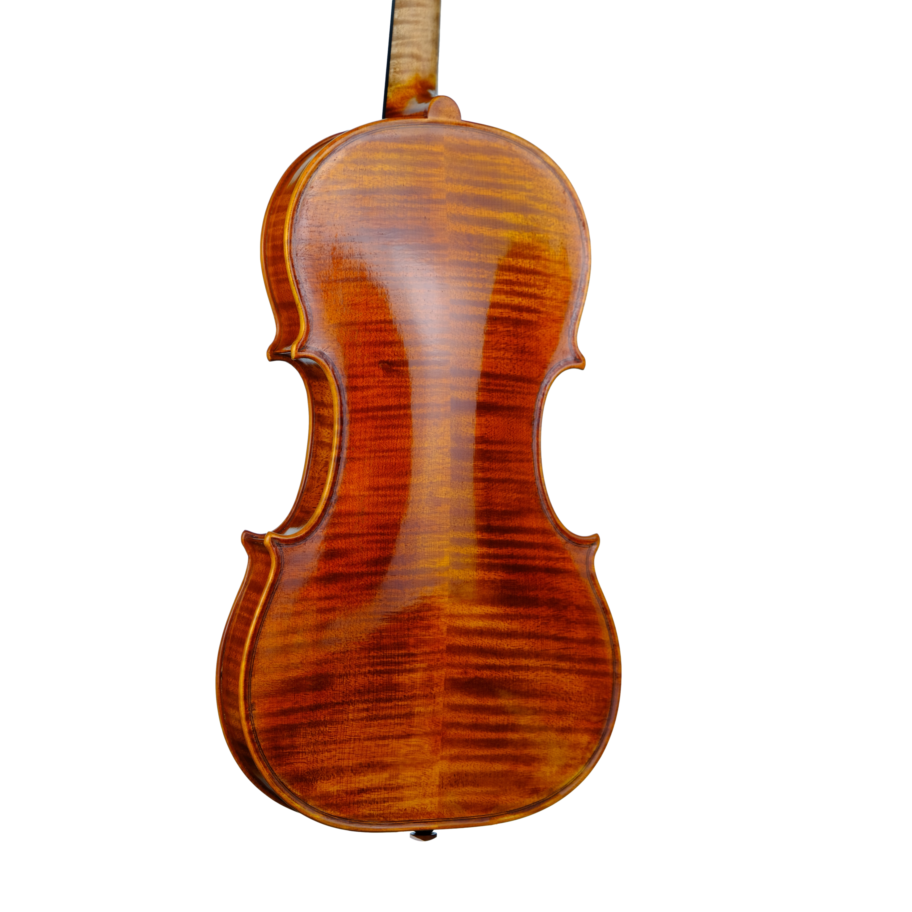 Violin - Linea Macchi, Guarneri "Lord Wilton" 2023