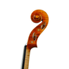 Violin - Linea Macchi, Guarneri "Lord Wilton" 2023