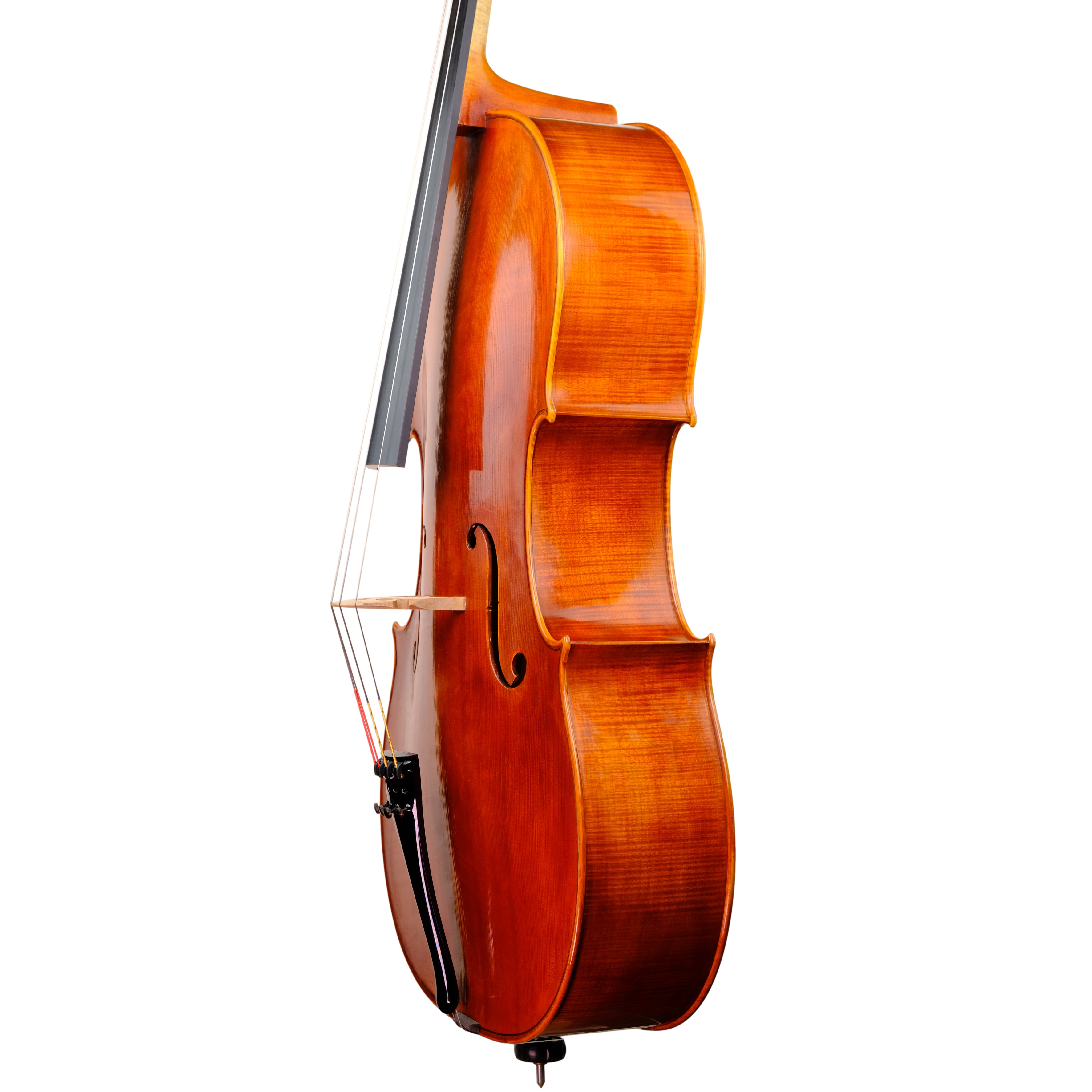 Cello - Linea Macchi, Stradivari "Gore Booth", Cremona 2023