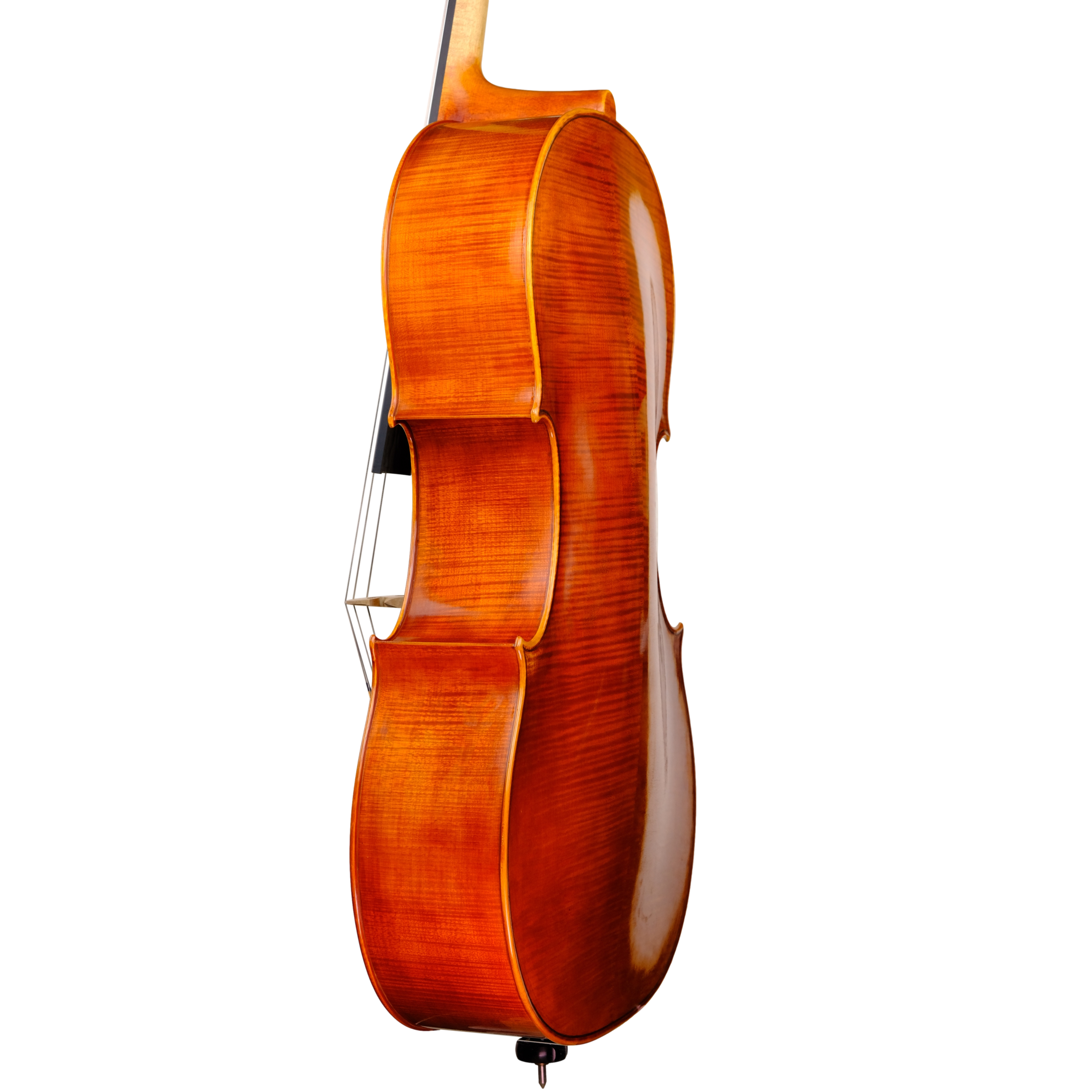 Cello - Linea Macchi, Stradivari "Gore Booth", Cremona 2023