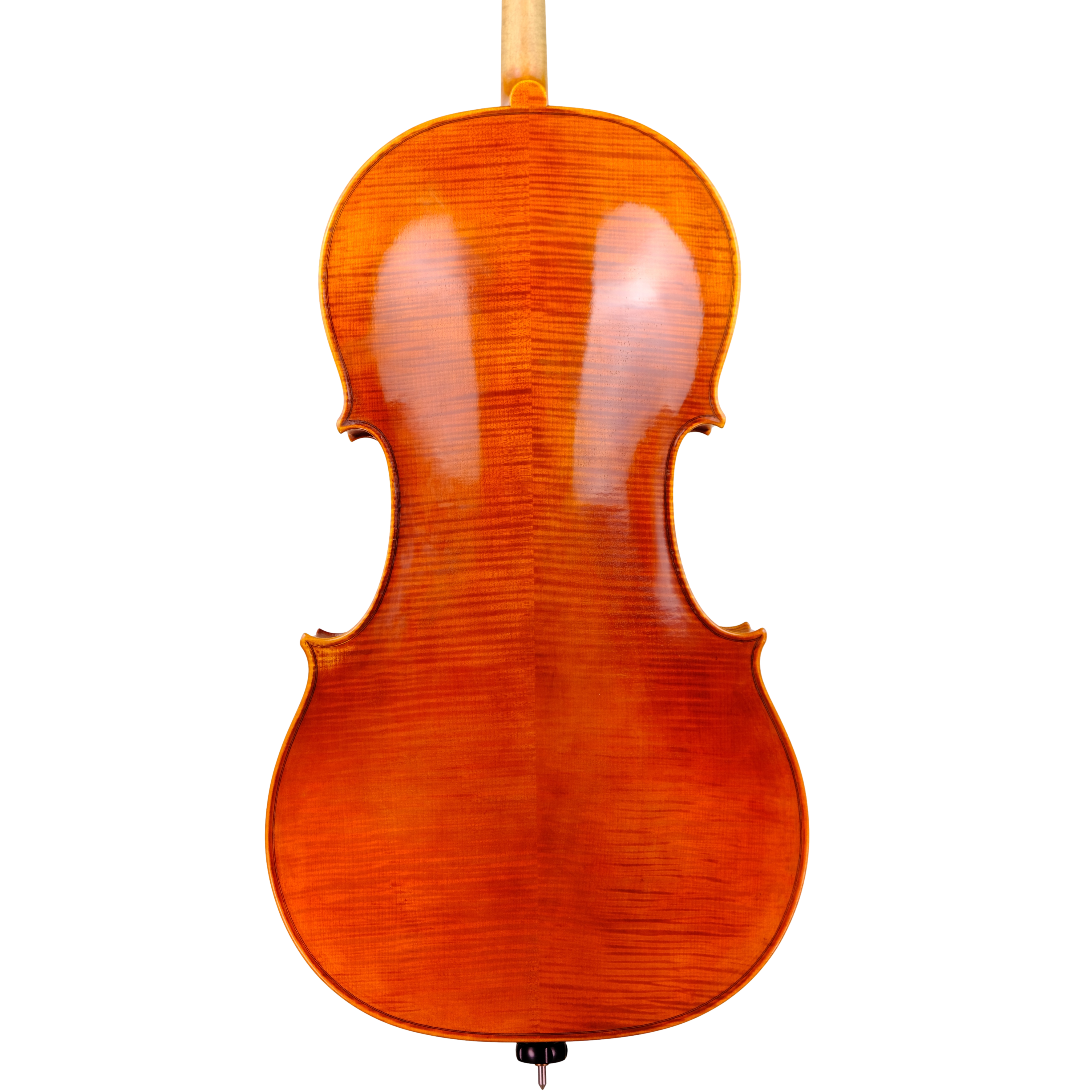 Cello - Linea Macchi, Stradivari "Gore Booth", Cremona 2023