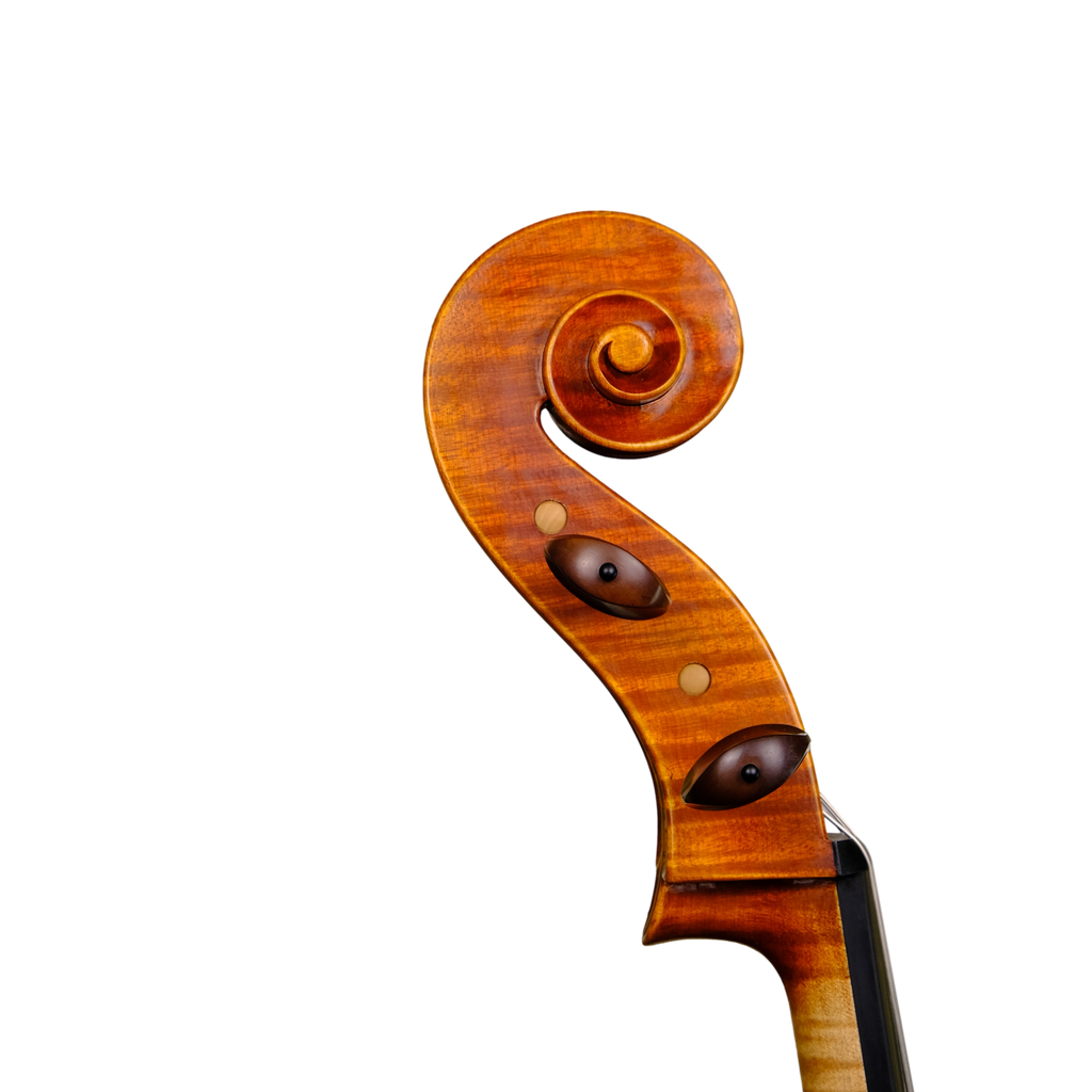 Cello - Linea Macchi, Stradivari "Gore Booth", Cremona 2023