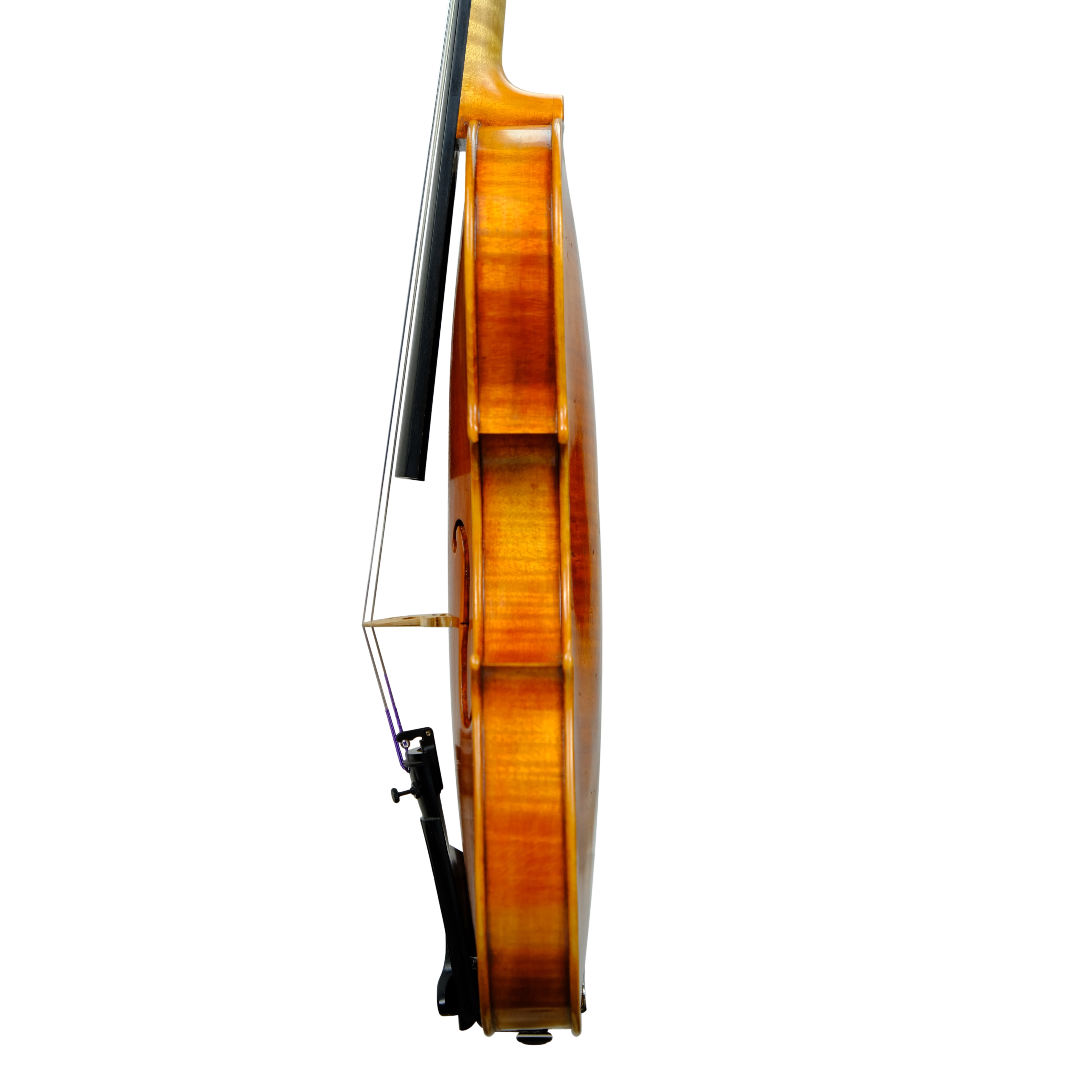 Violin - Marco Dotti, copy of Carlo Antonio Testore, Cremona 2024