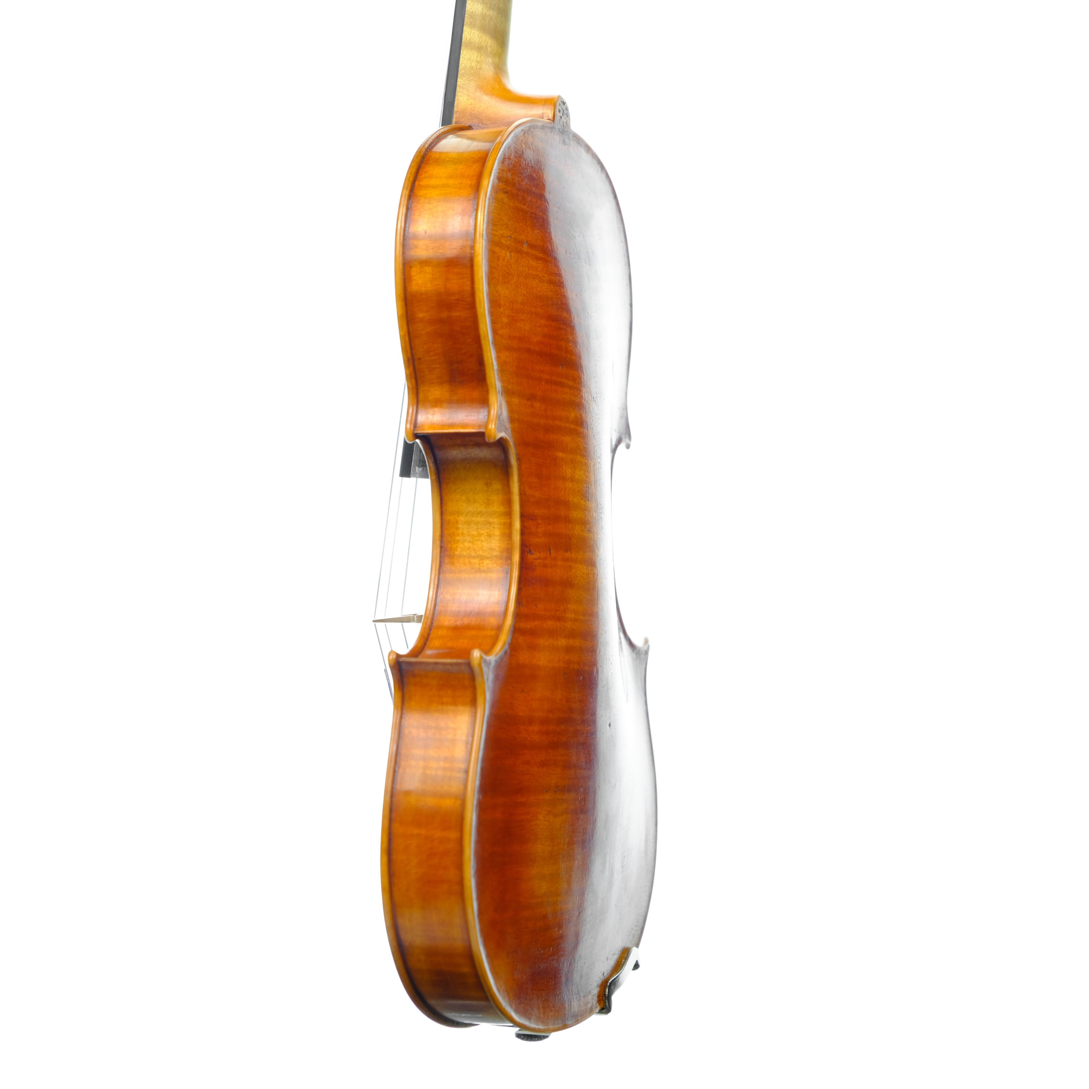 Violin - Marco Dotti, copy of Carlo Antonio Testore