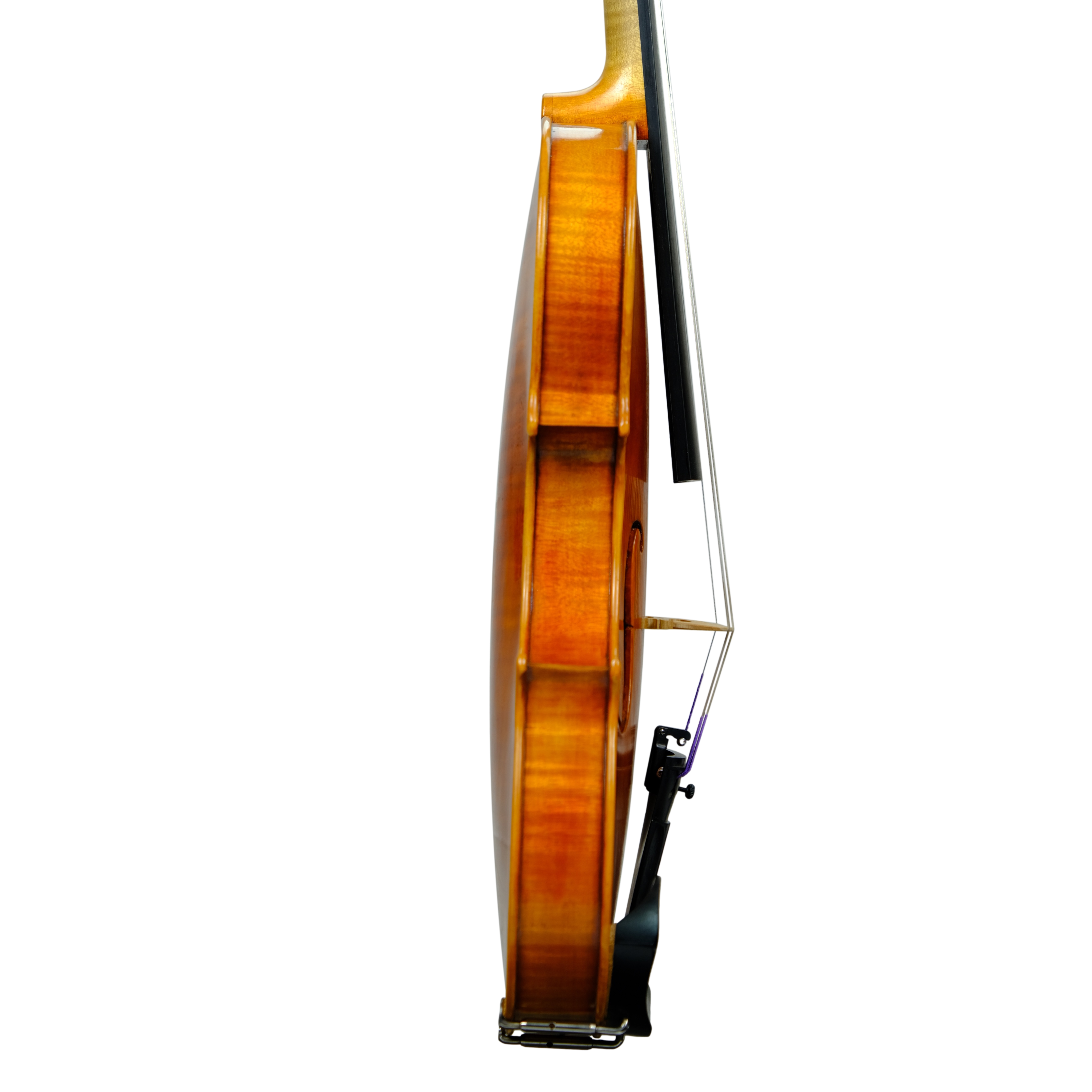 Violin - Marco Dotti, copy of Carlo Antonio Testore, Cremona 2024