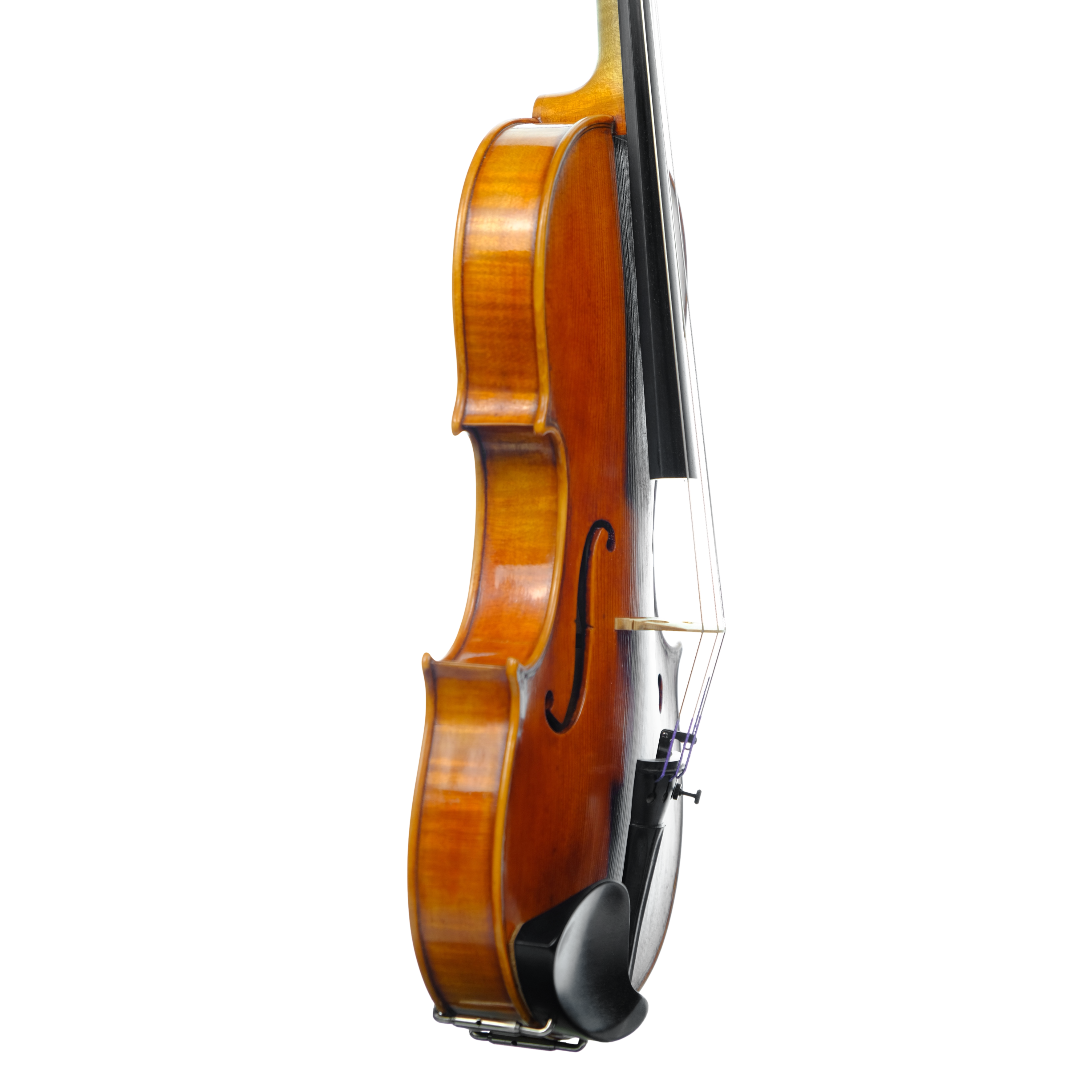 Violin - Marco Dotti, copy of Carlo Antonio Testore, Cremona 2024