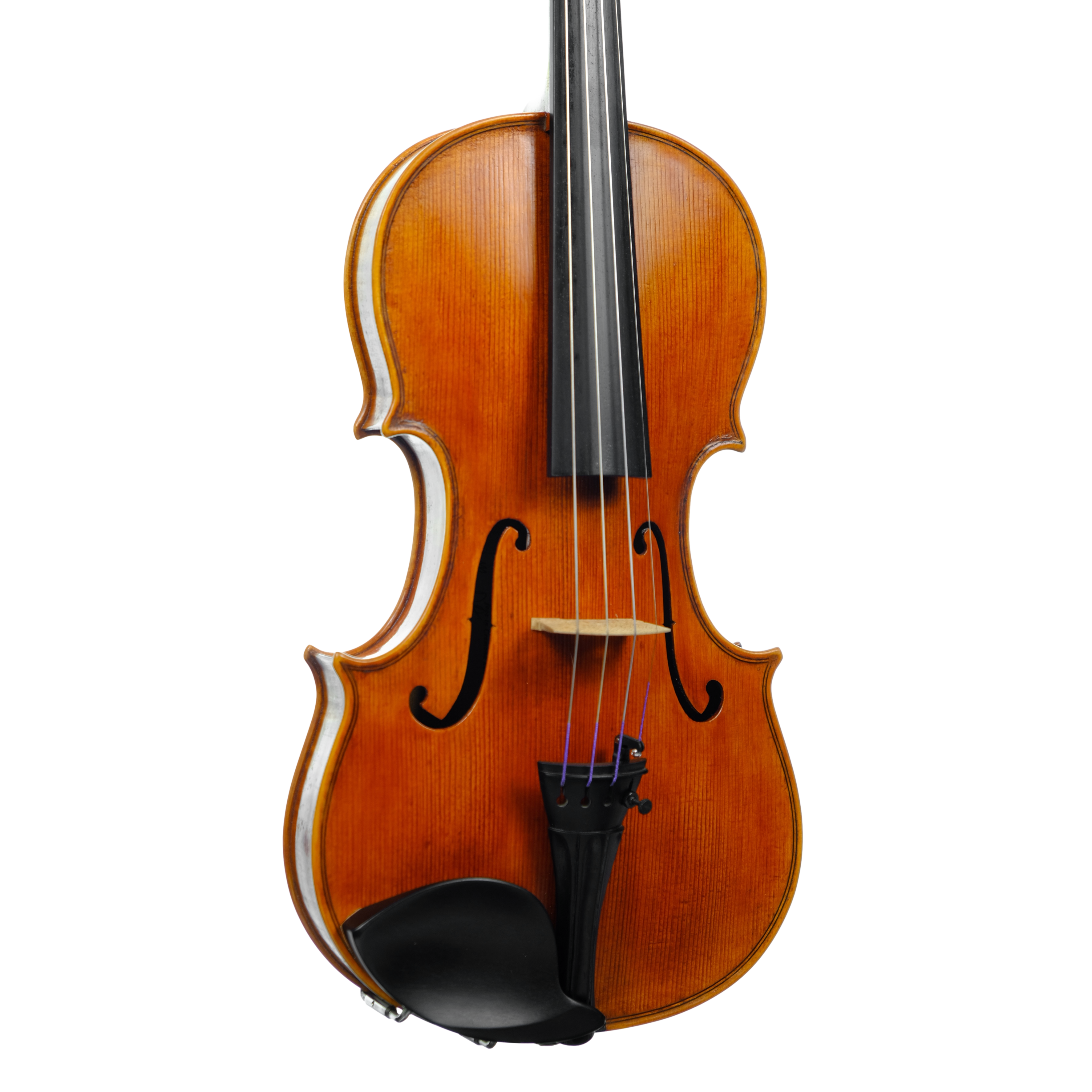 Violin - Marco Dotti, copy of Carlo Antonio Testore, Cremona 2024