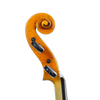Violin - Marco Dotti, copy of Carlo Antonio Testore