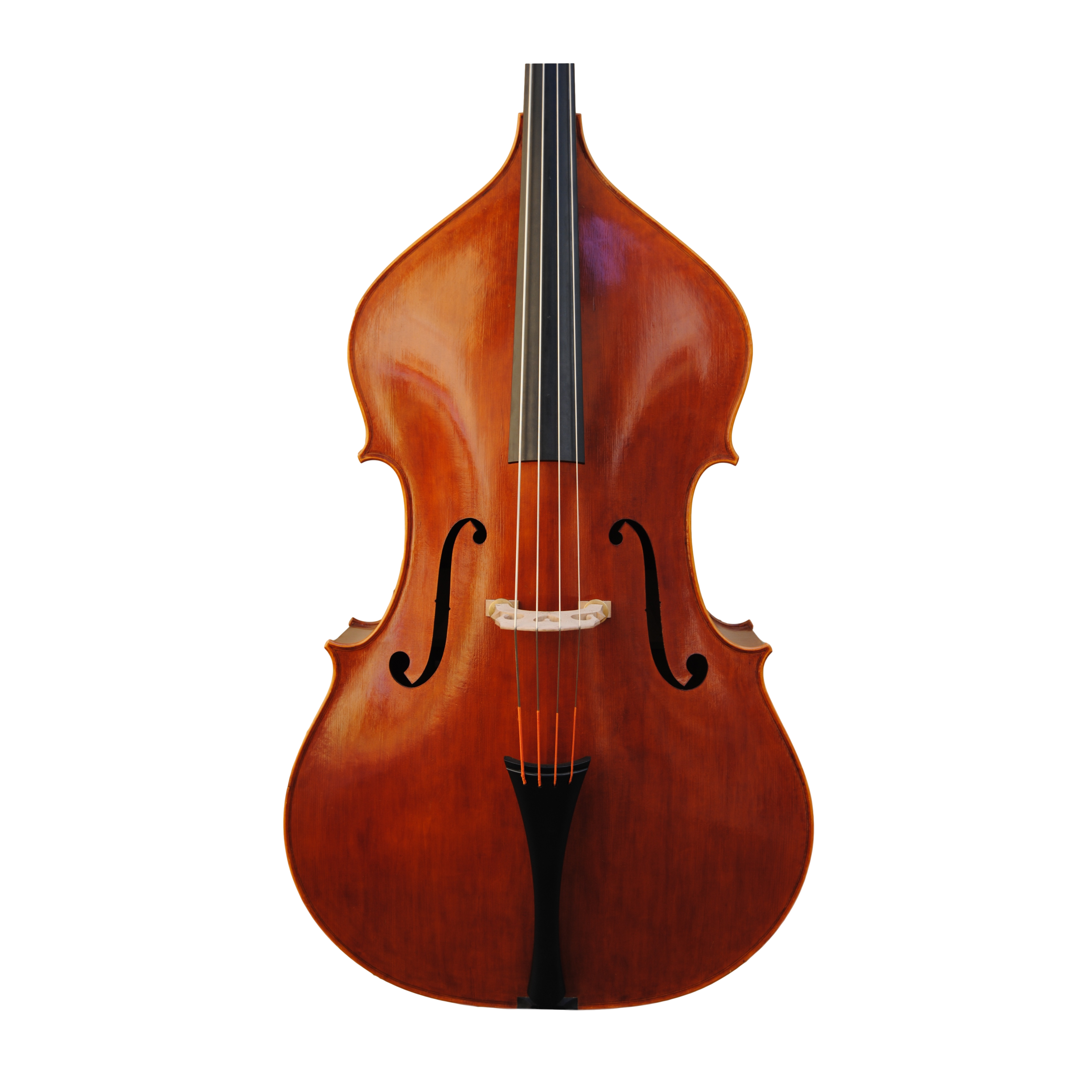 Doublebass 3/4 - Edgar Russ,  “Triennale”, Cremona 2015