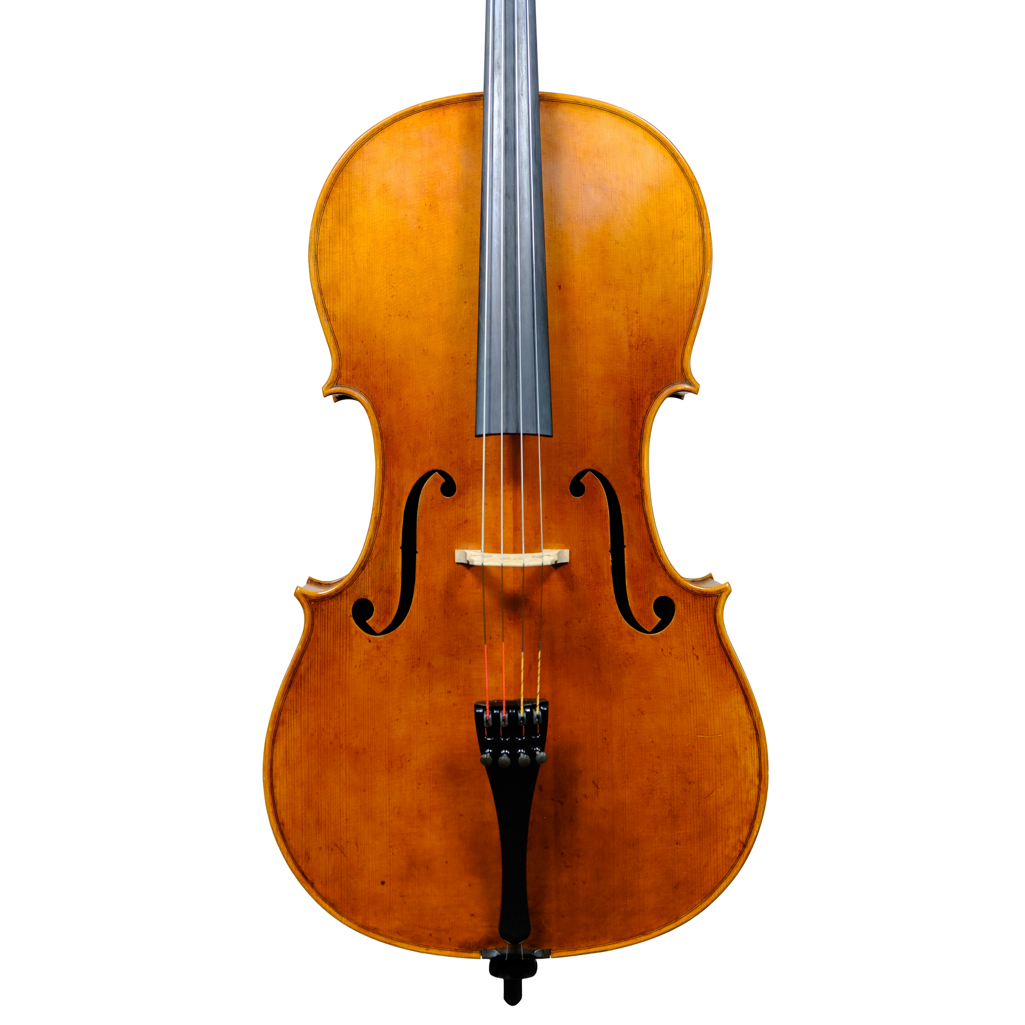 Cello - Enrico Bertoncini, Cremona